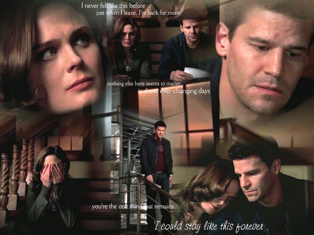 Booth and Bones Wallpaper: BB art