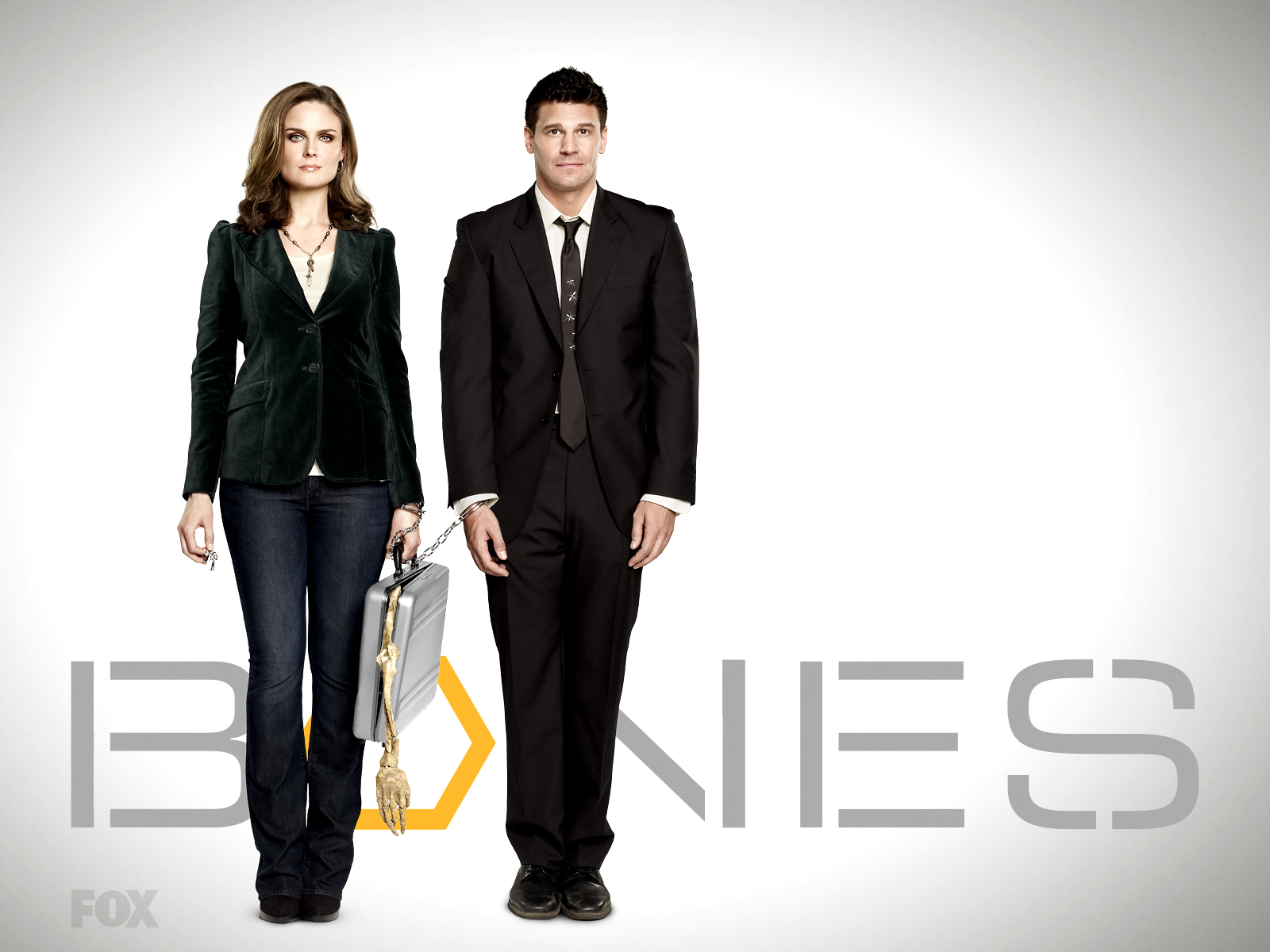 TV Show Bones 4k Ultra HD Wallpaper