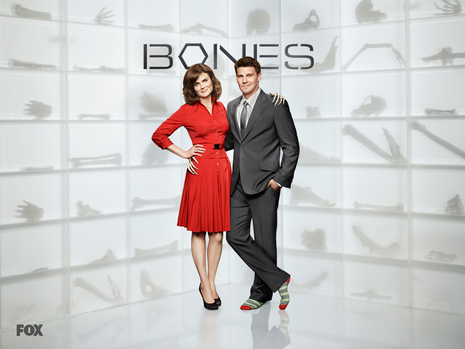 TV Show Bones Wallpaper