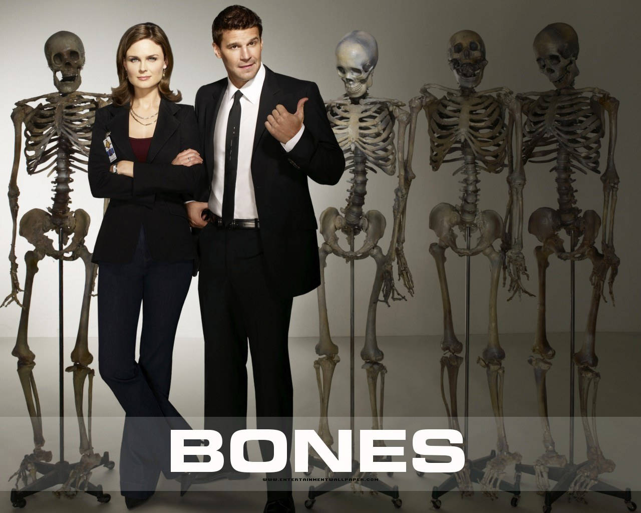 Download Bones Skeletons Emily