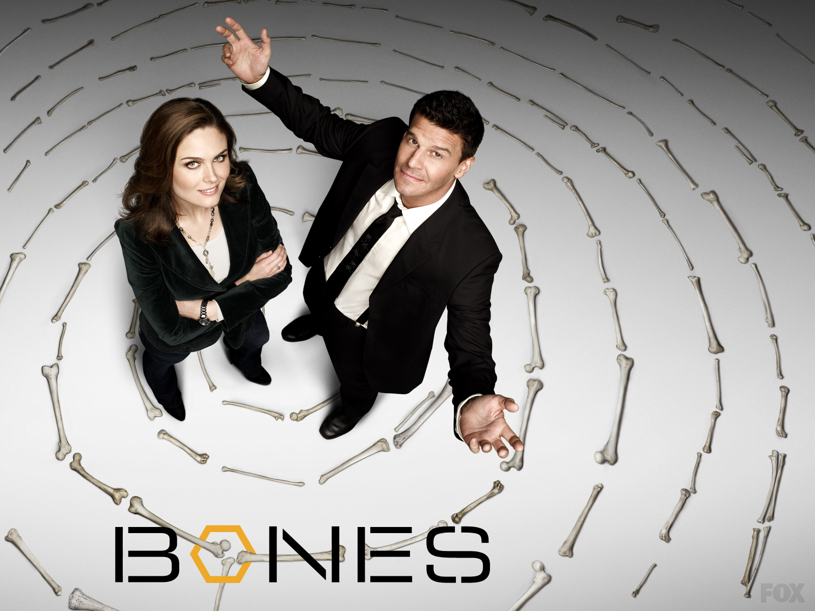 Bones Background Wallpaper 04488
