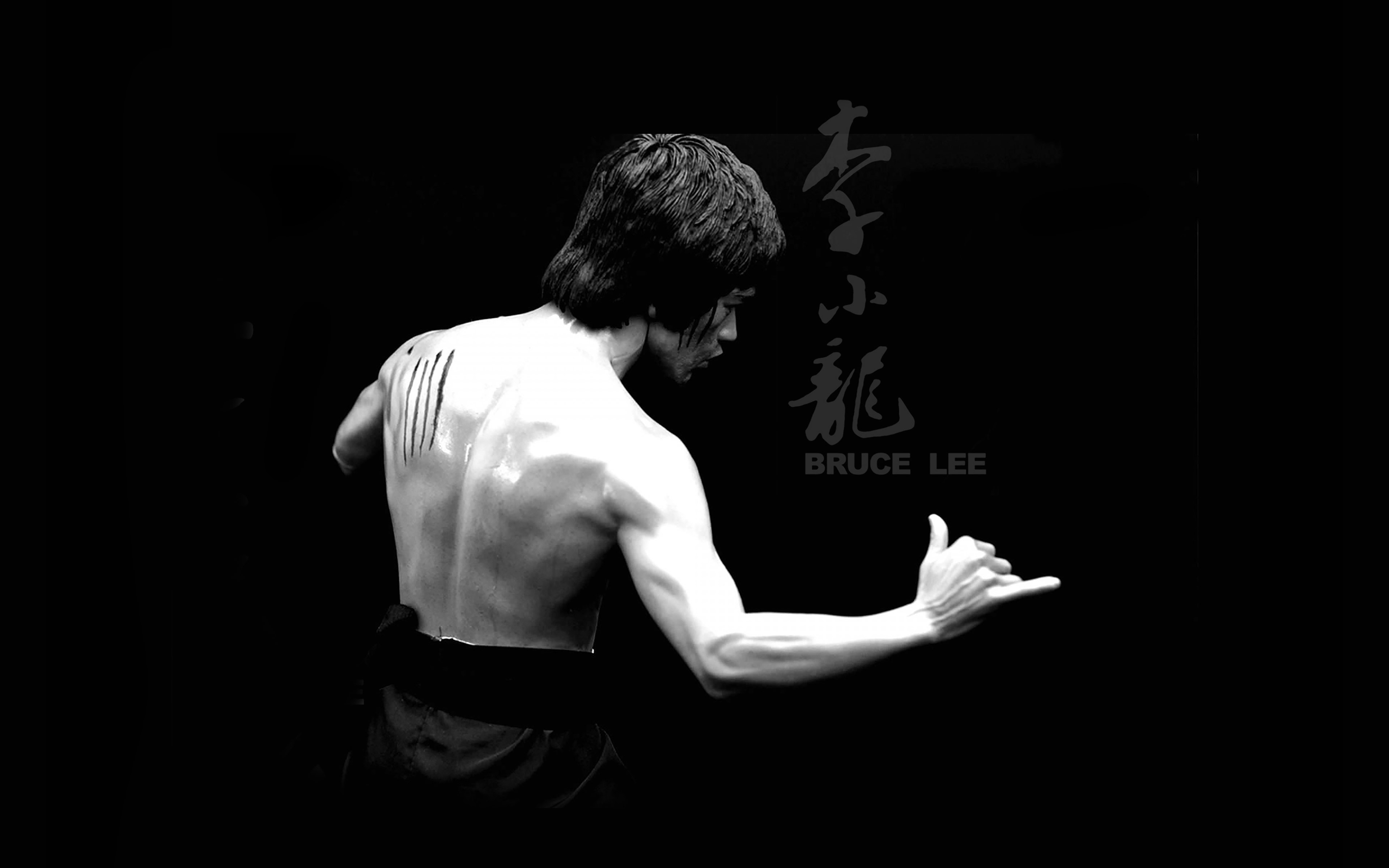 Bruce Lee Sports Actor Celebrity Dark