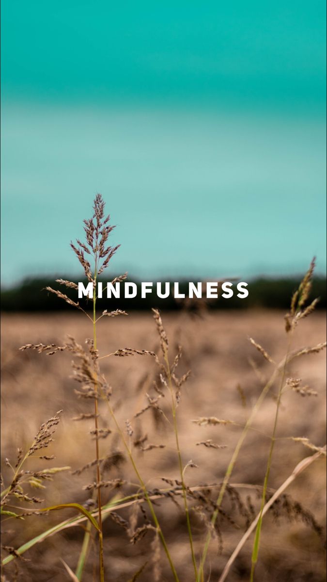 Mindfulness Reminder Wallpaper | Mindfulness, In this moment, Life