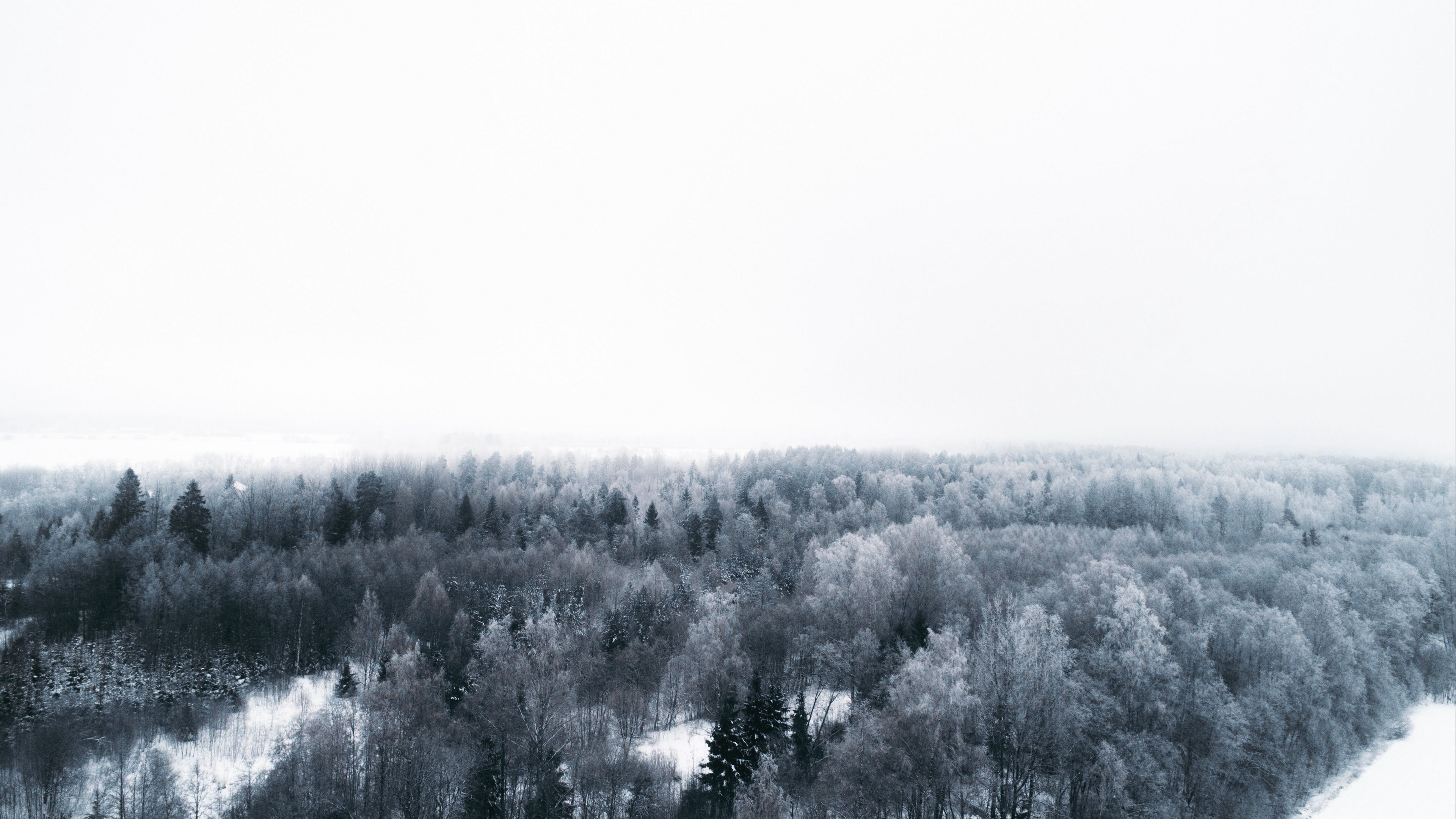 Download wallpaper 3840x2160 winter, trees, aerial view, minimalism, white 4k uhd 16:9 HD background