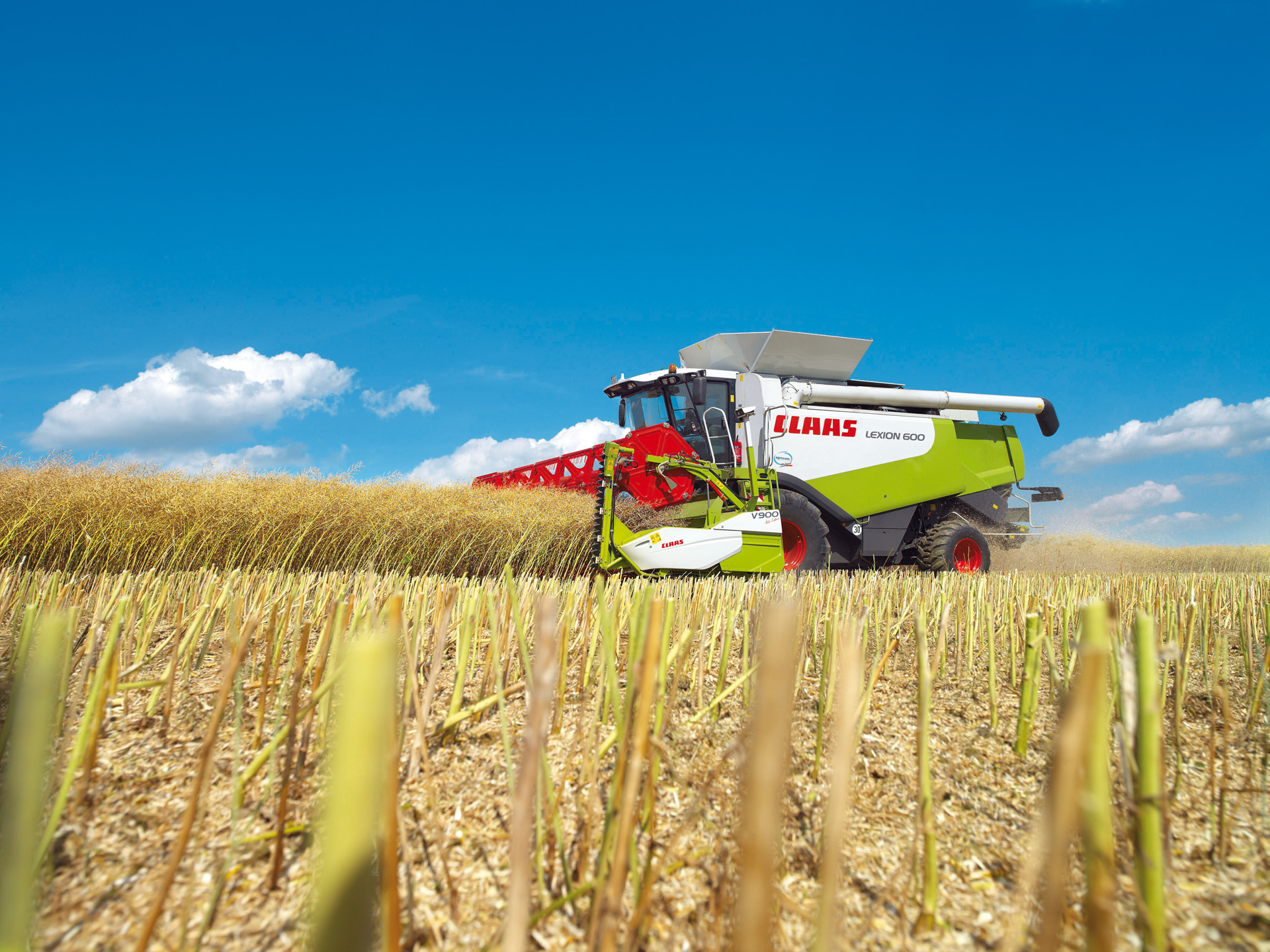 Claas Lexion picture. Claas