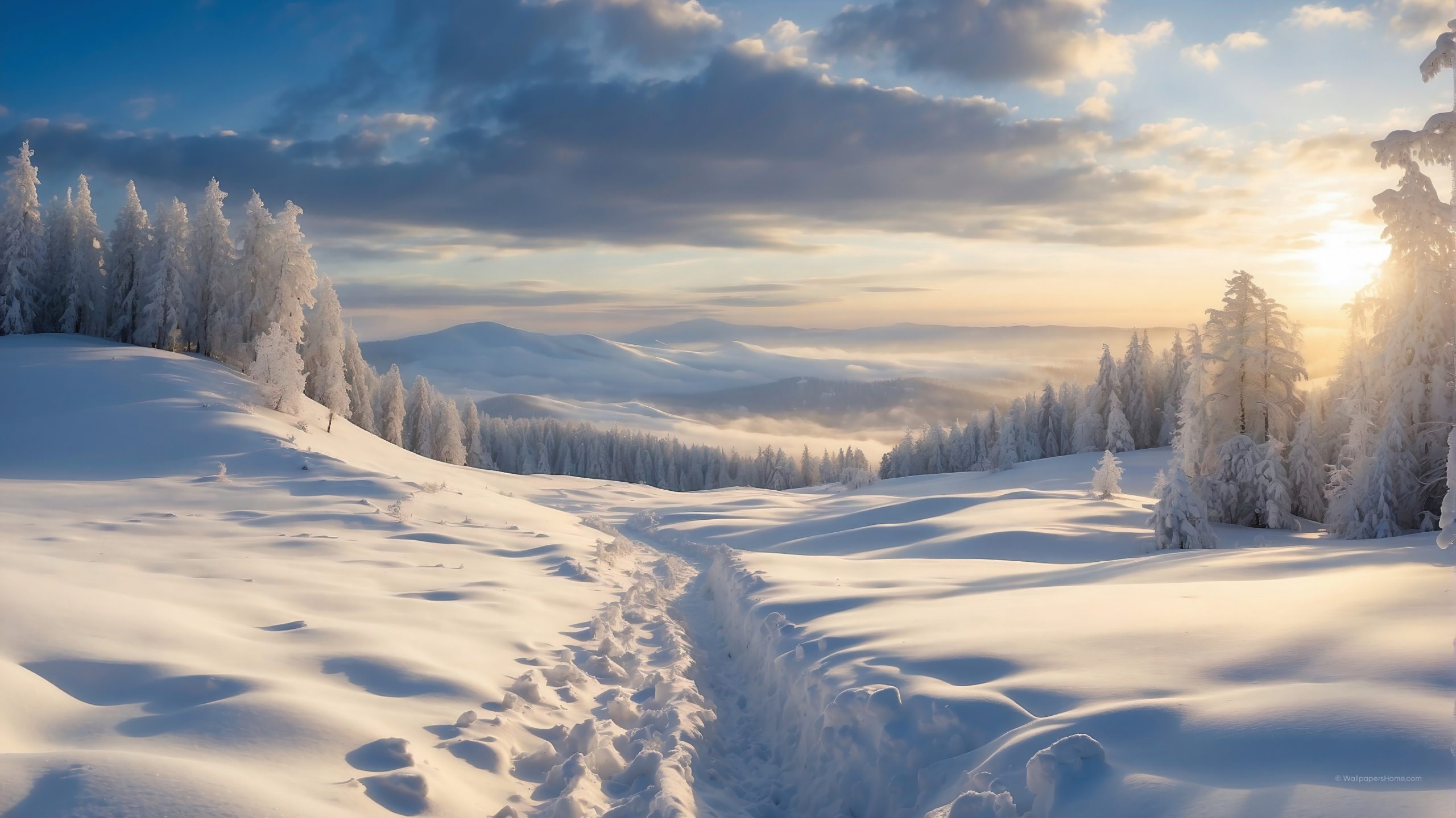 Windows 12 Winter Forest Wallpaper Free