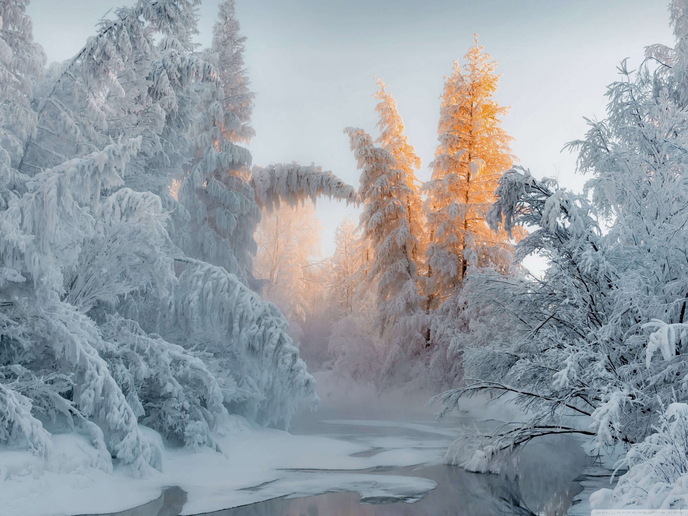 Winter Wonderland Ultra HD Desktop