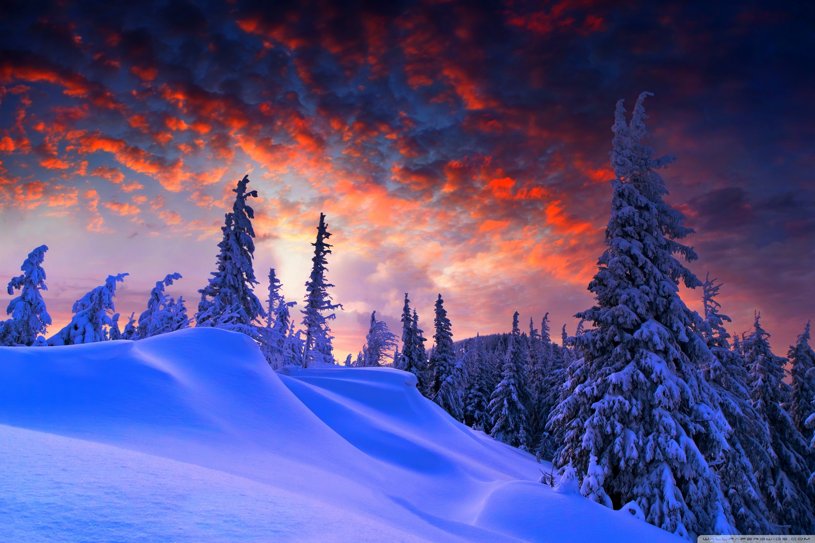 Ultra HD Desktop Background Wallpaper