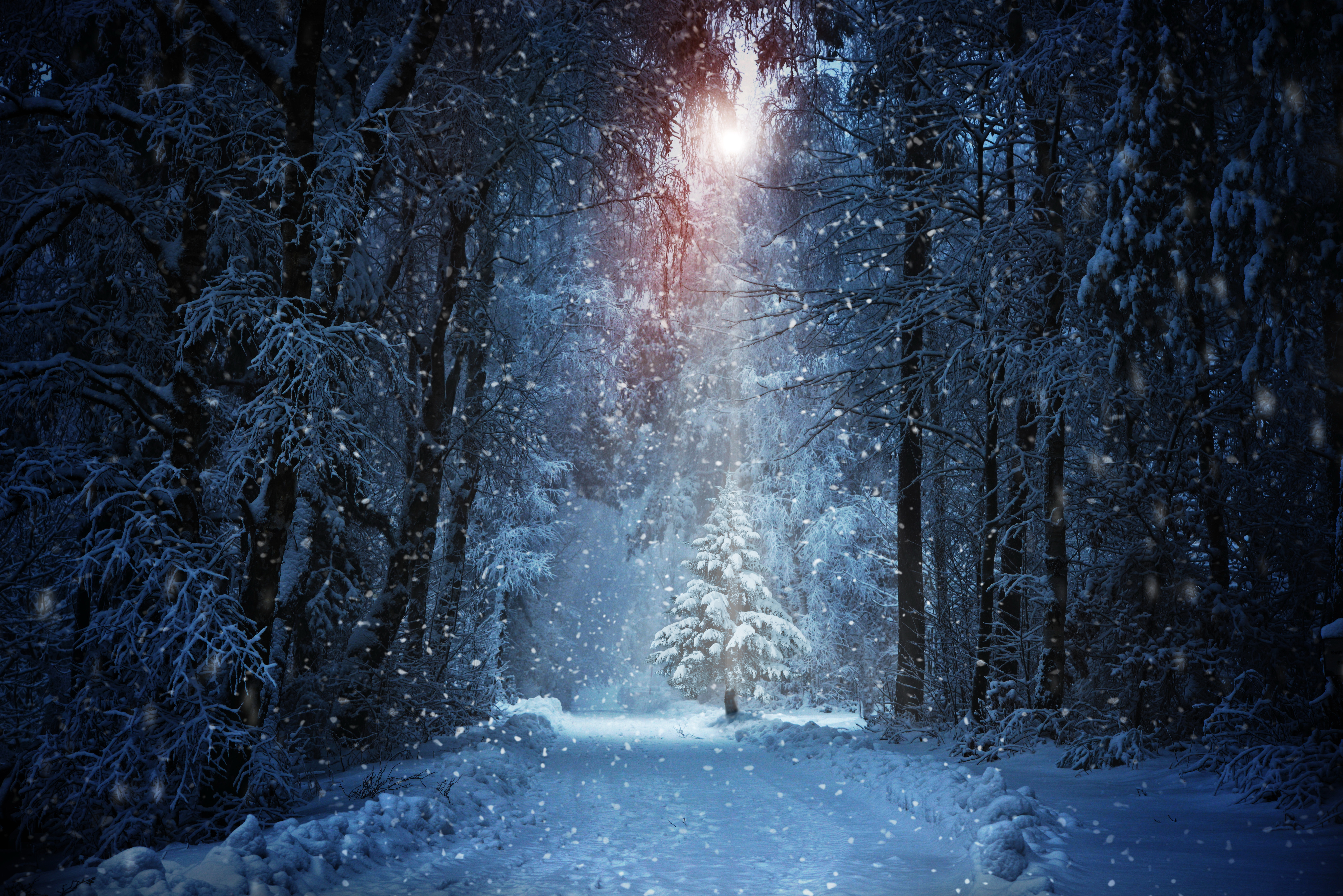 Winter 4k Wallpaper