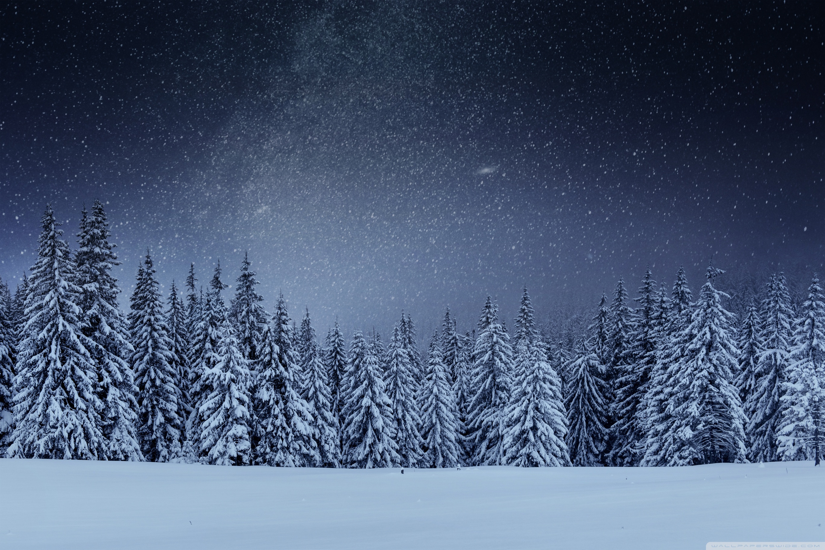 Ultra HD Desktop Background Wallpaper