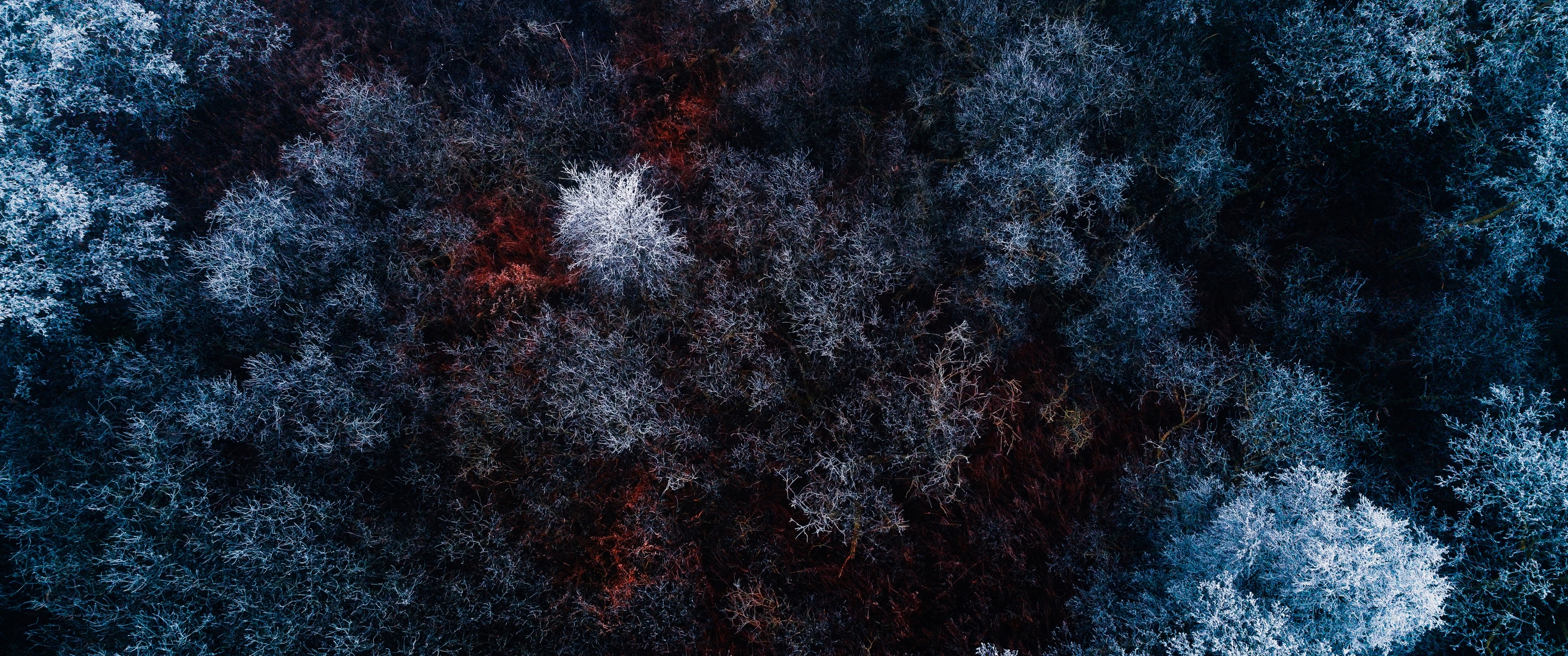 Winter forest Wallpaper 4K, Aerial view