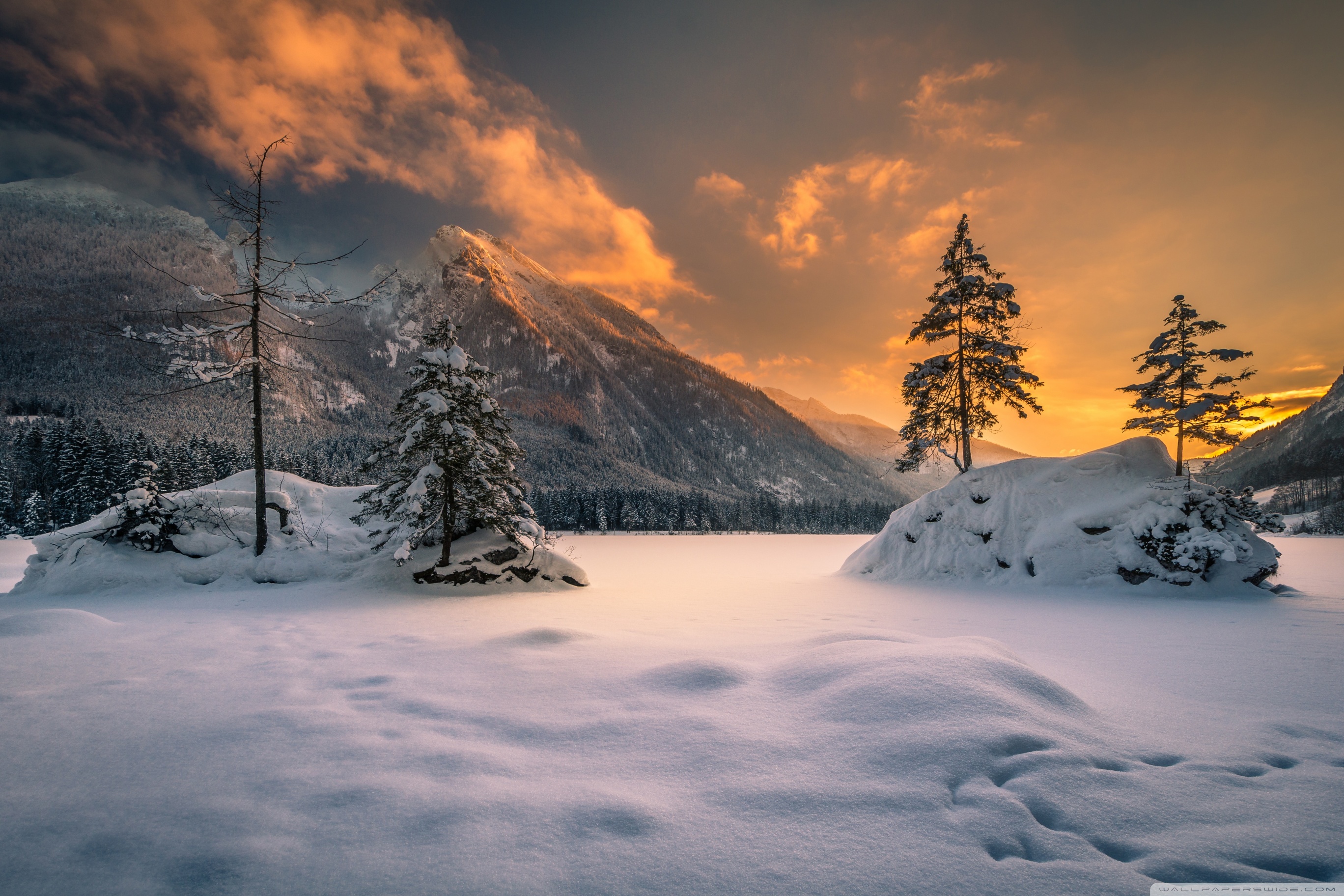 Ultra HD Desktop Background Wallpaper