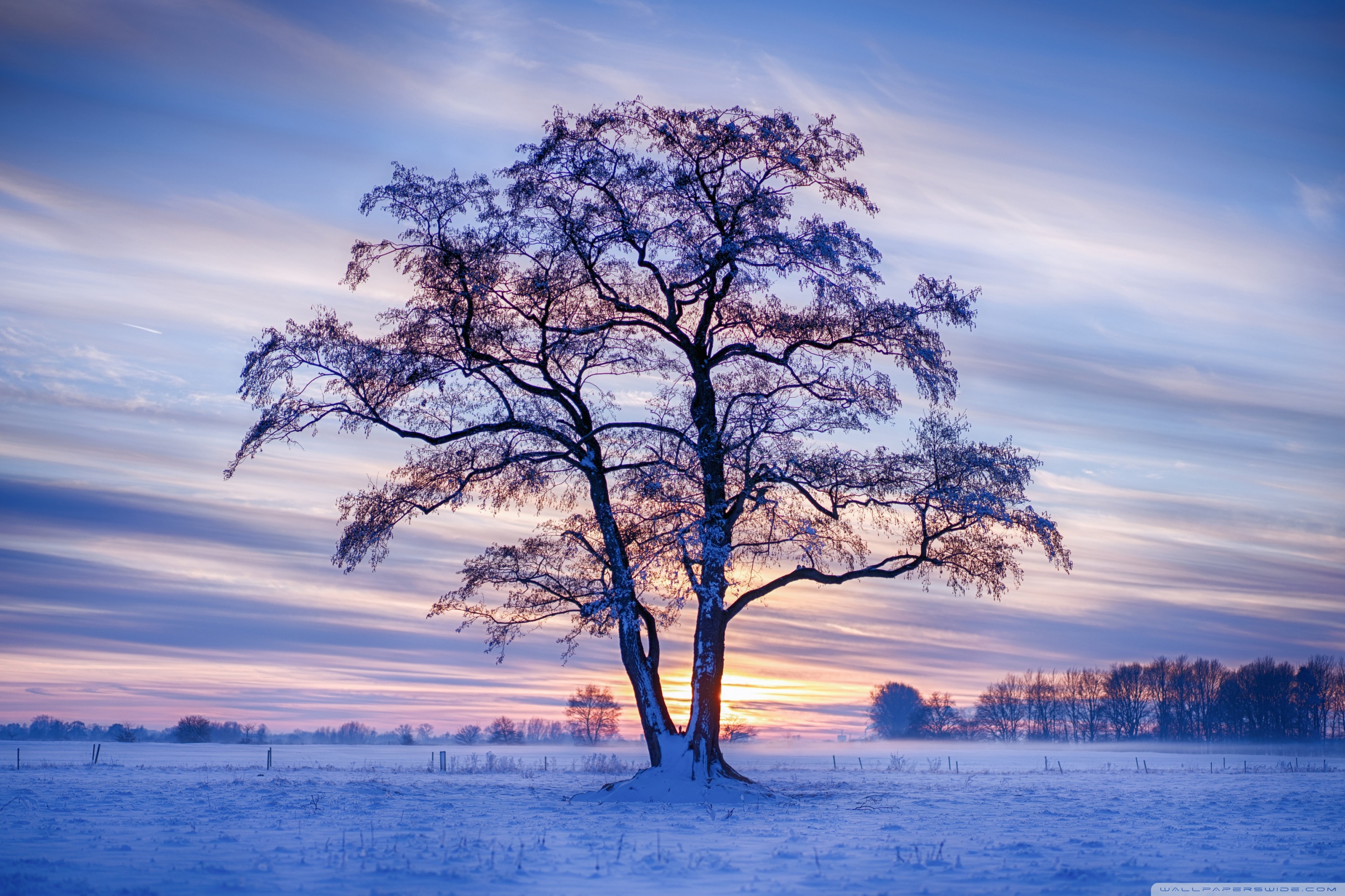 Ultra HD Desktop Background Wallpaper