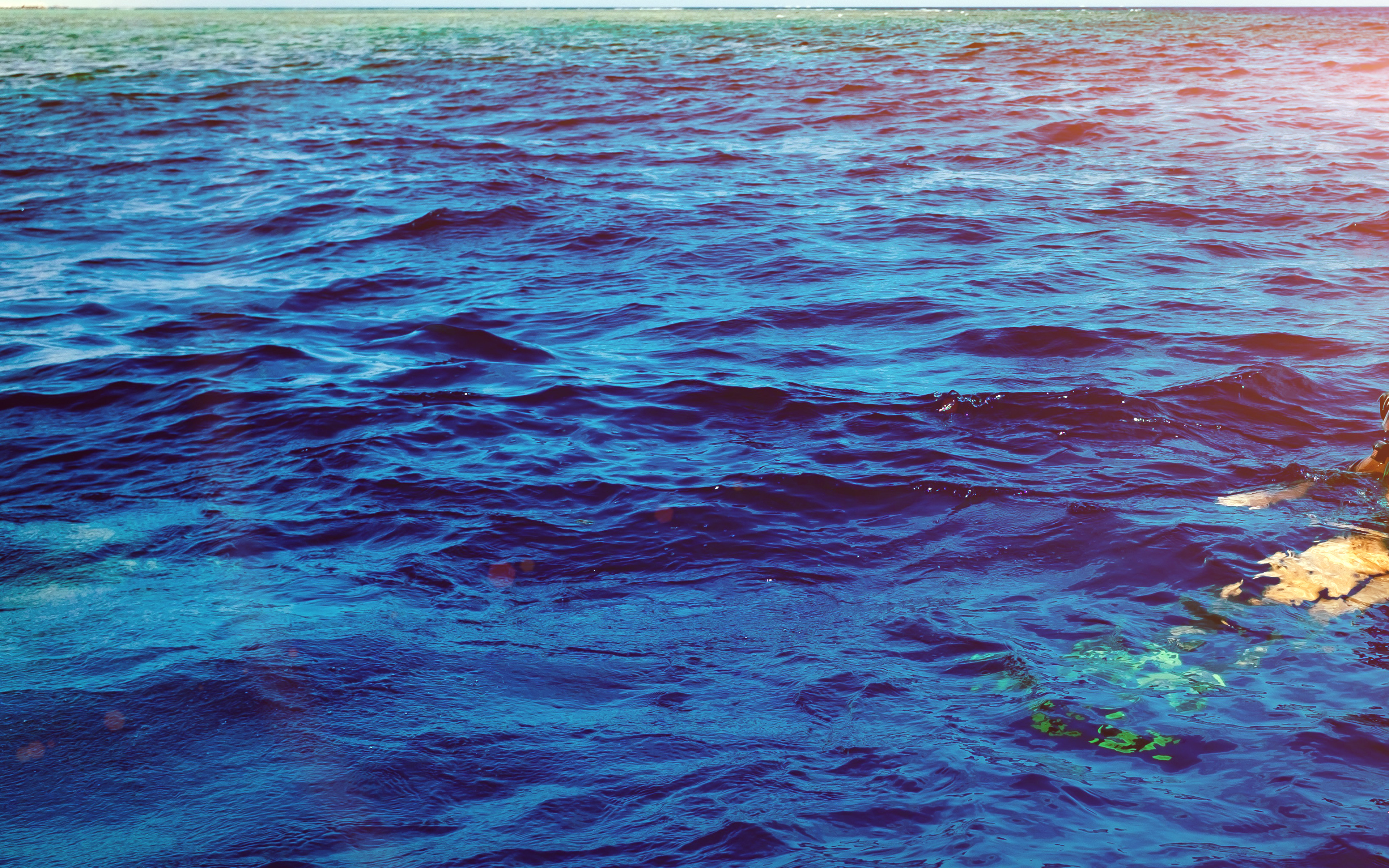 Sea Blue Ocean Nature Summer Swim