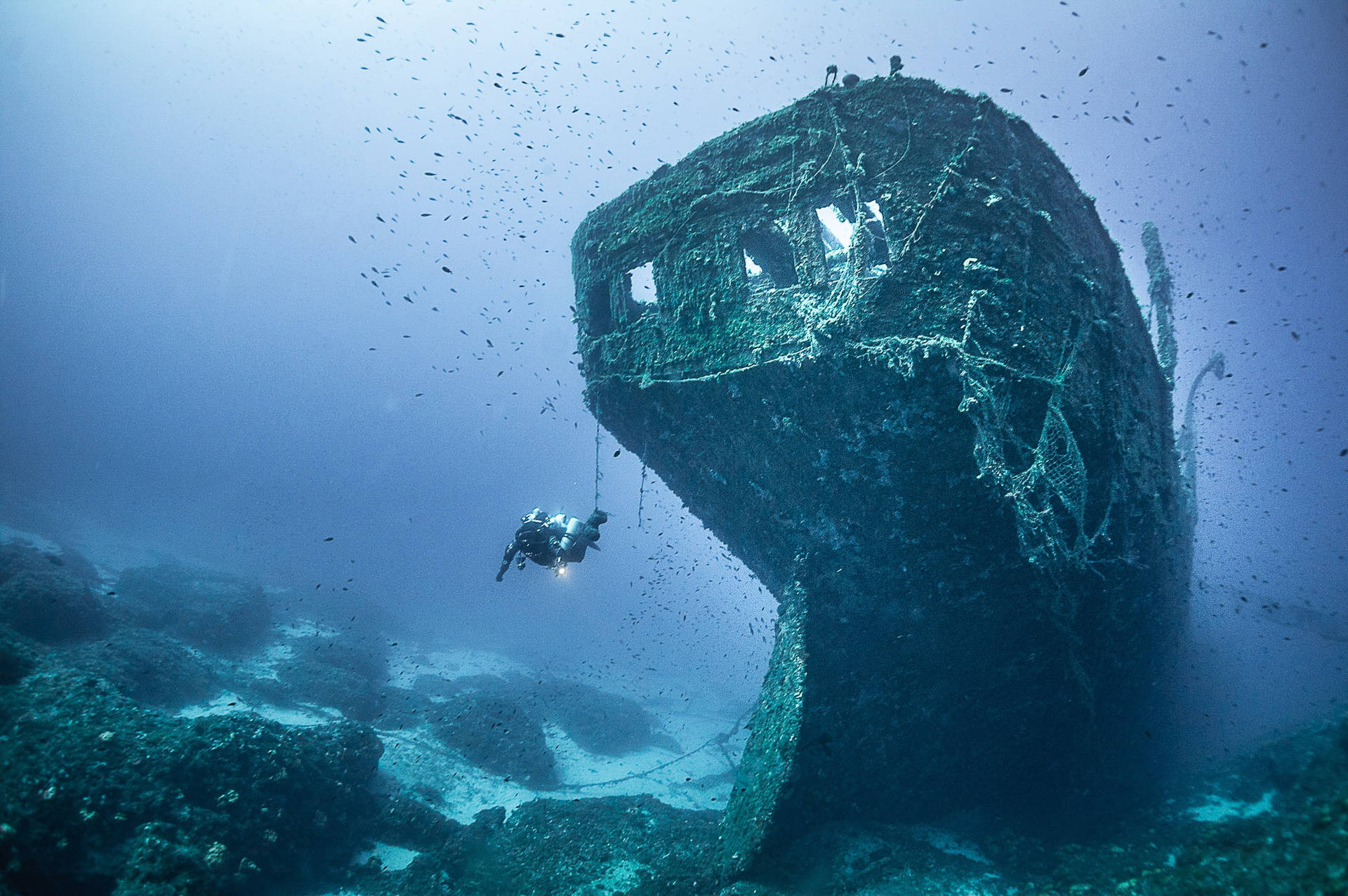 Download Scuba Diving Old Shipwreck Wallpaper