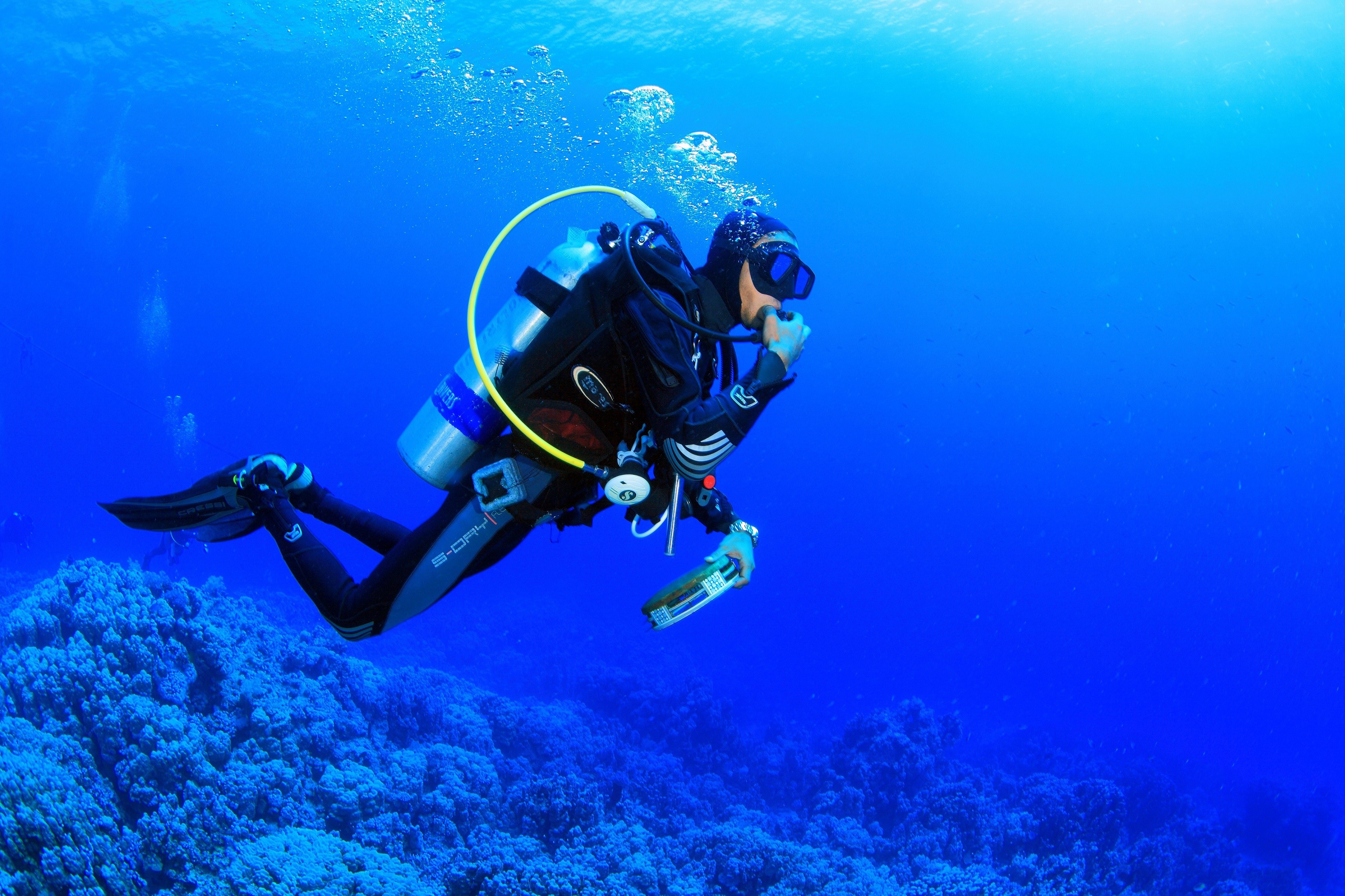 Scuba Diving Wallpaper
