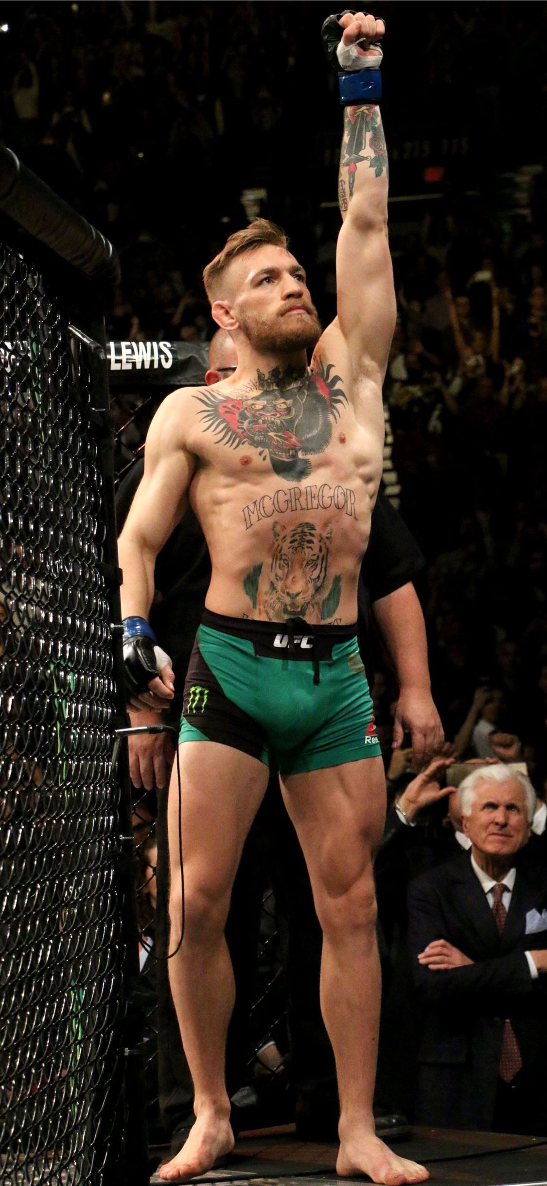 Notorious conor mcgregor