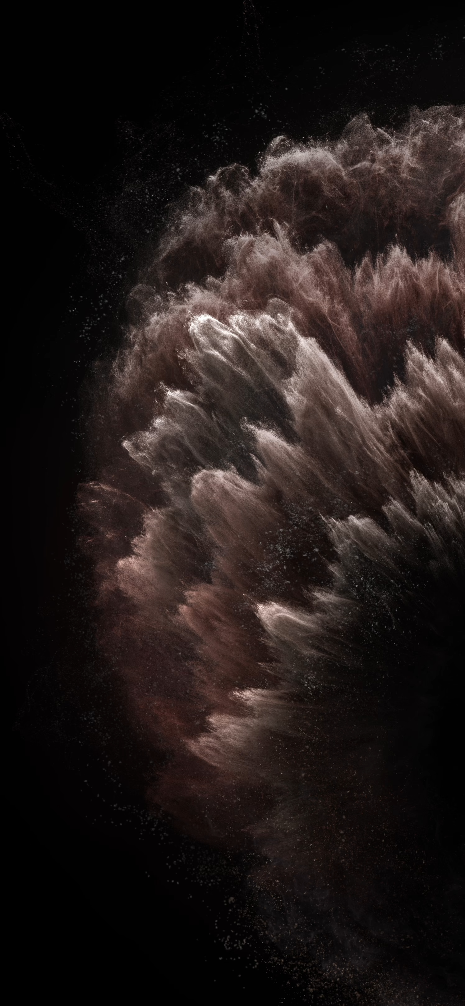 iPhone 11 Pro (Light)