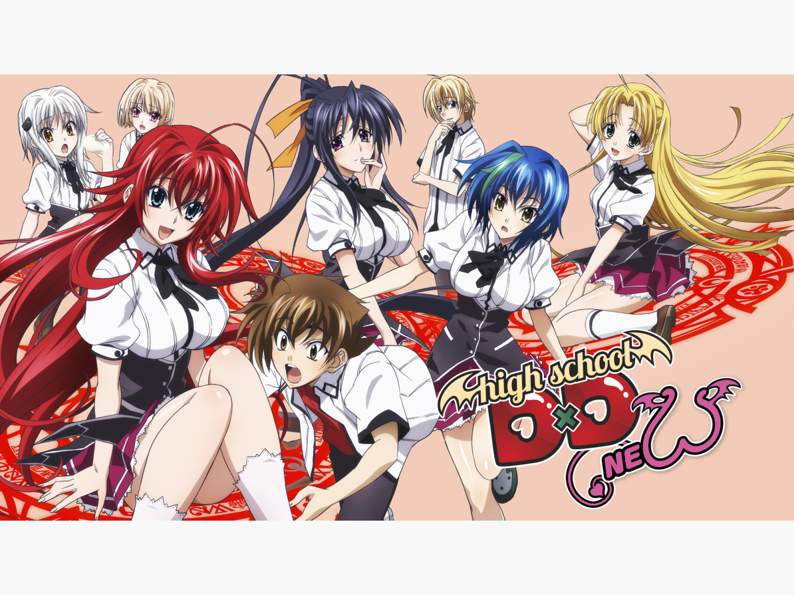 High School DxD NEW