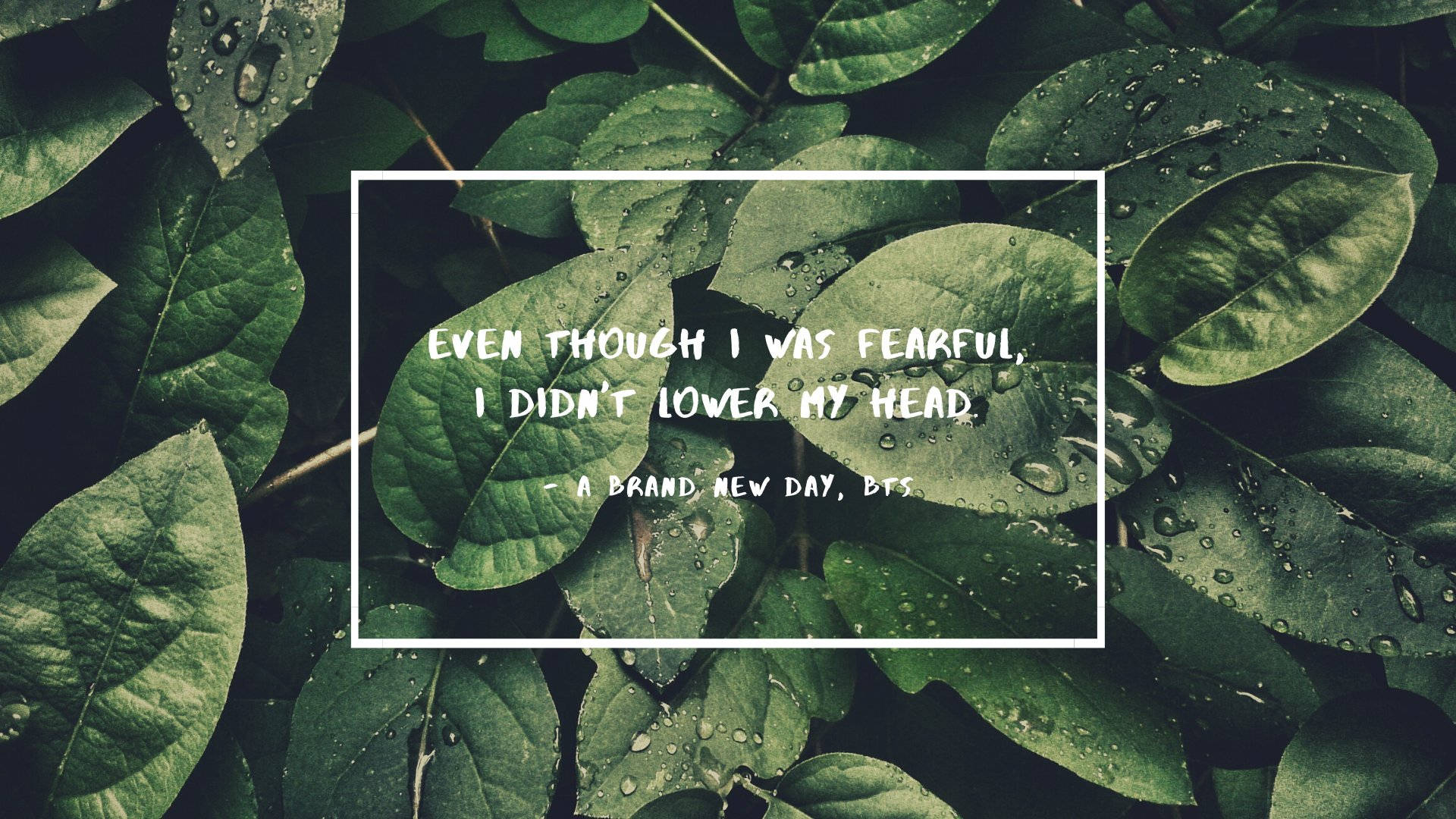 Day Lyrics Laptop Wallpaper