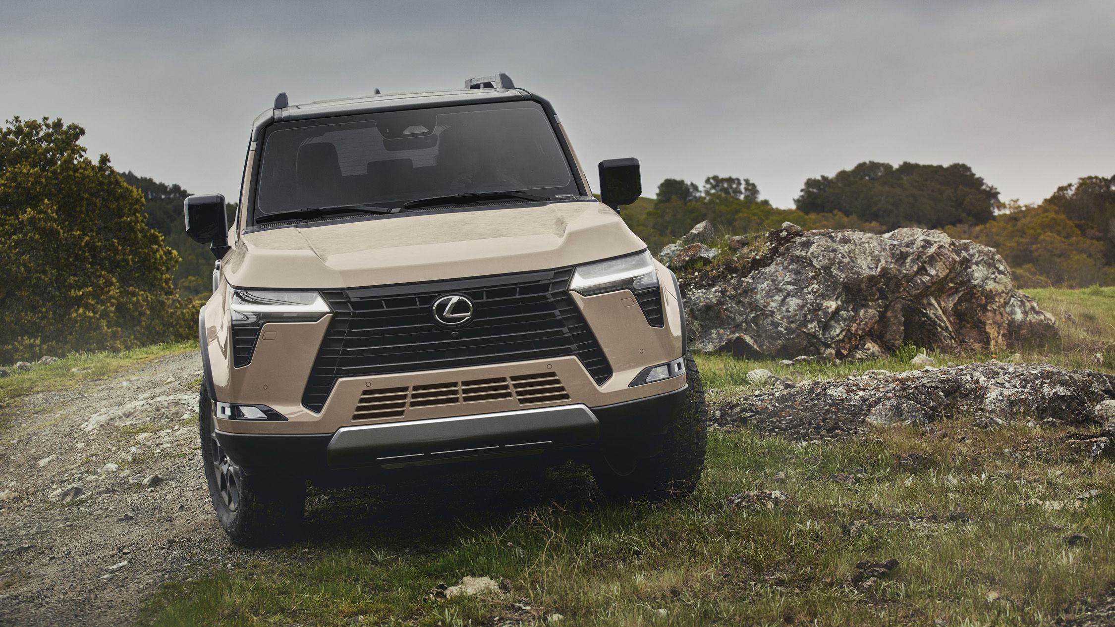 View Exterior Photo of the 2024 Lexus GX
