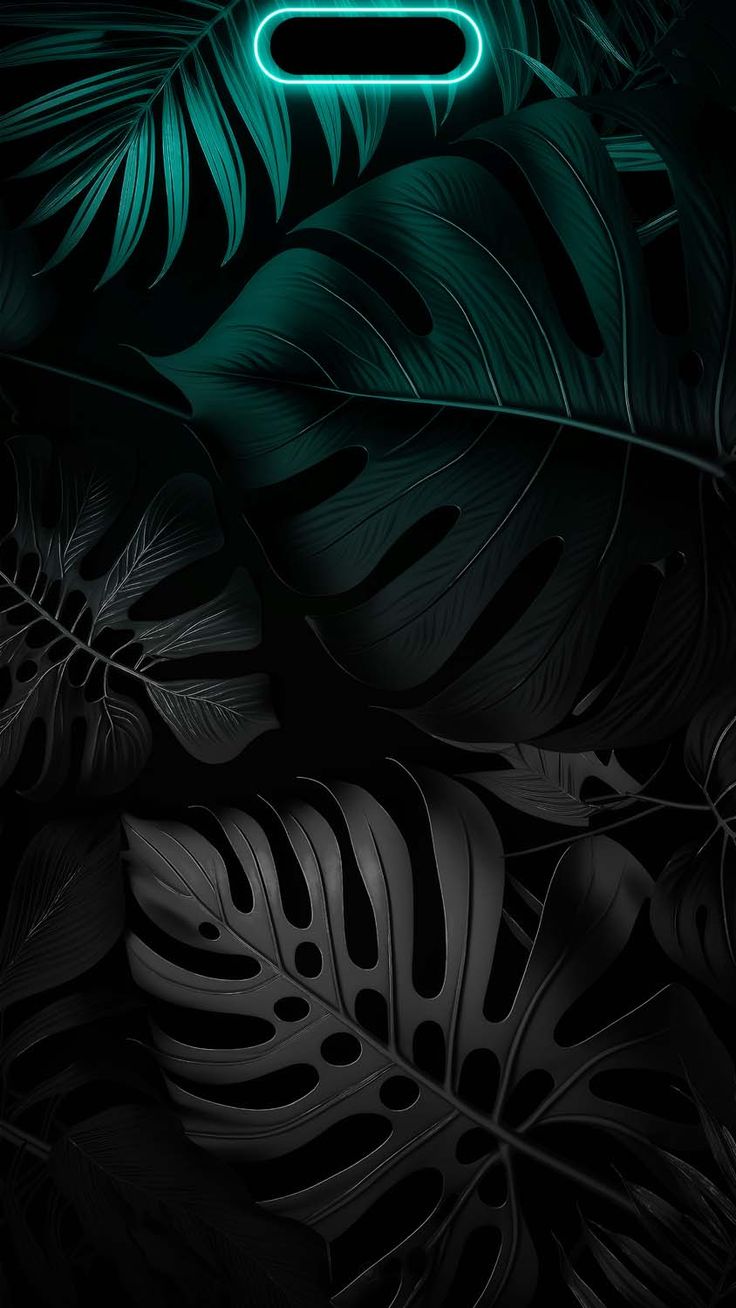 iPhone 15 Pro Max Black Wallpapers - Wallpaper Cave