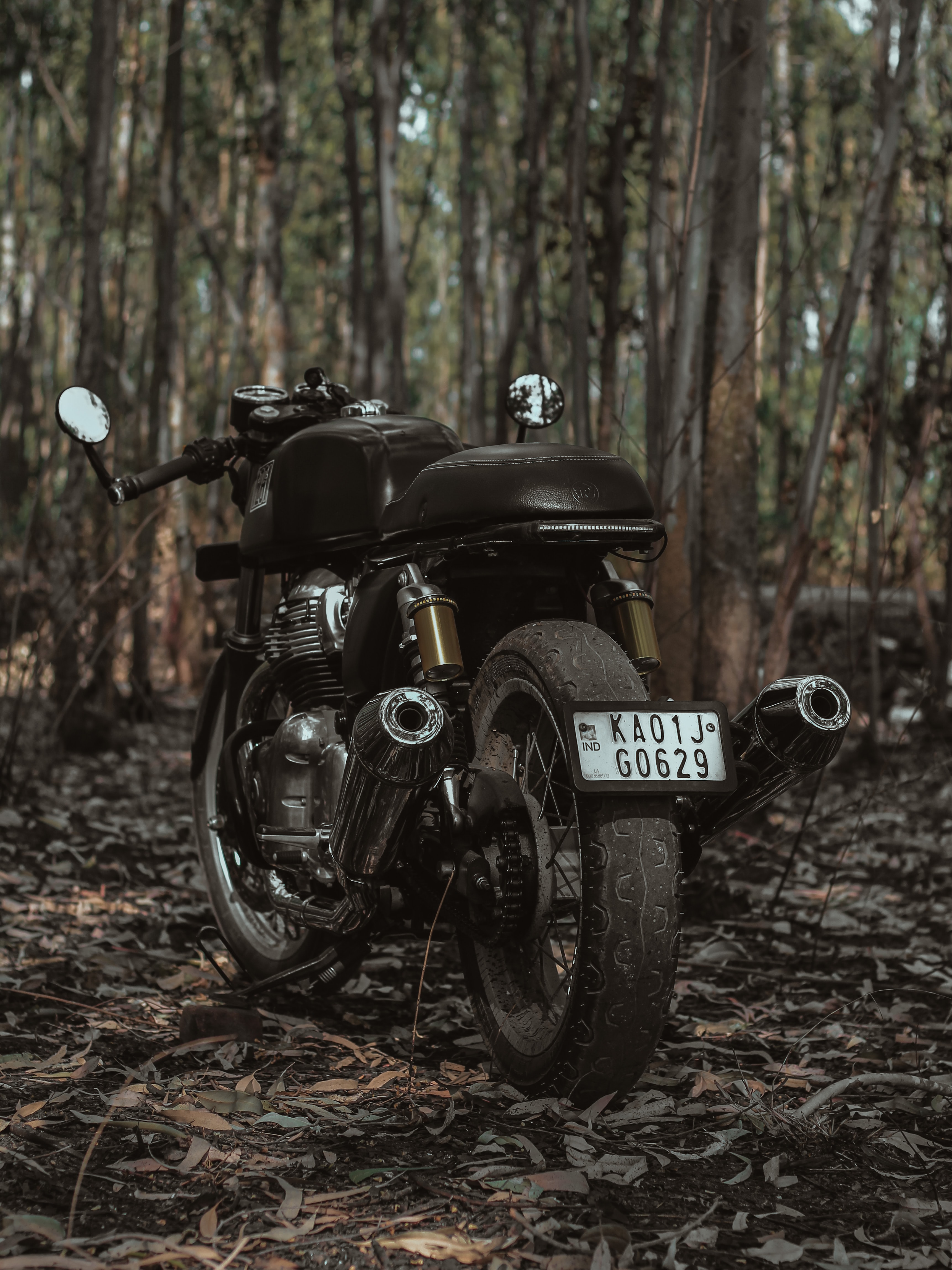 Mobile wallpaper: Royal Enfield, Trees