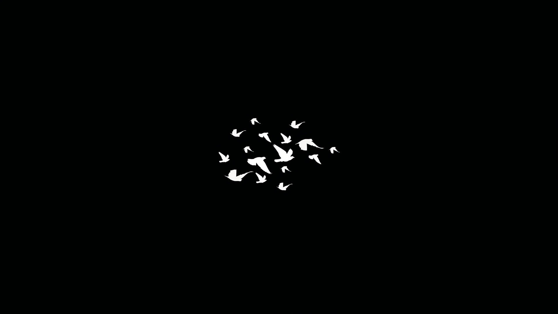 Download Dark Minimalist Flock Of Birds