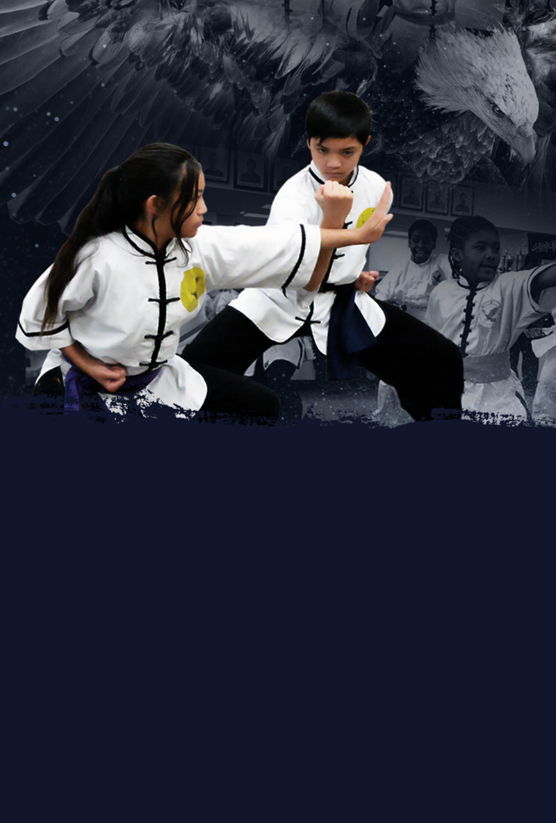 Martial Arts Owings Mills Chi