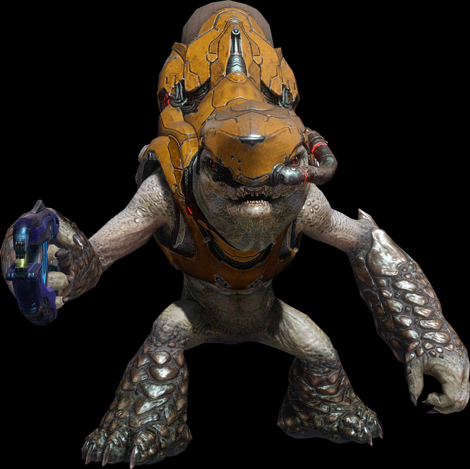 Waypoint's Halo Bulletins