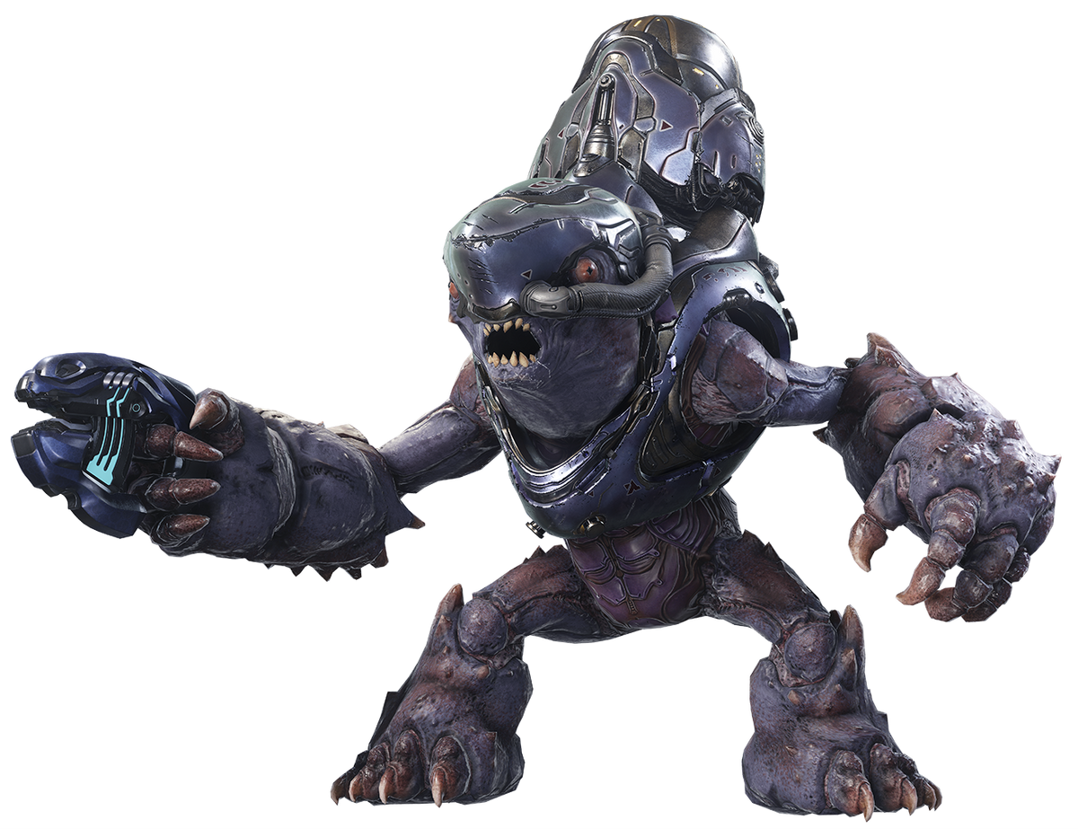 Unggoy