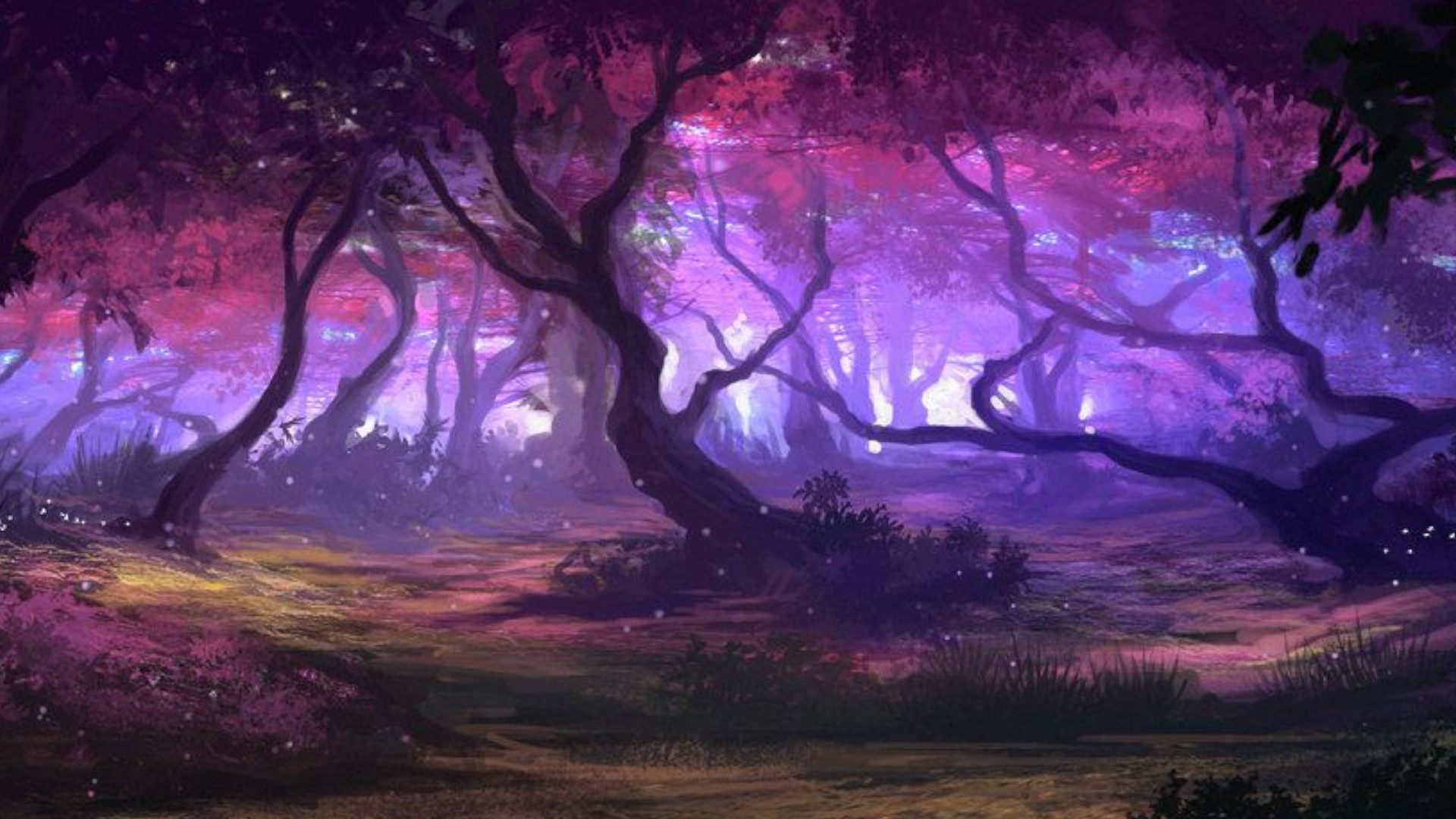 Enchanted Forest Virtual Background