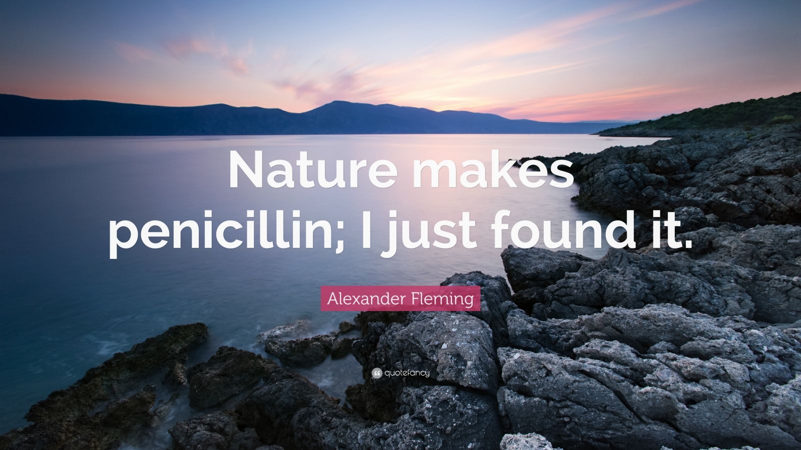 Alexander Fleming Quotes 2024