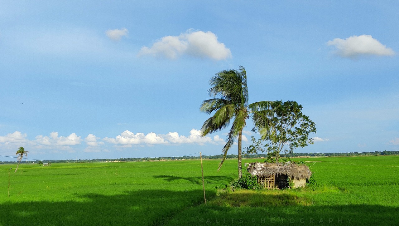 Bangladesh Village Wallpapers Wallpaper Cave