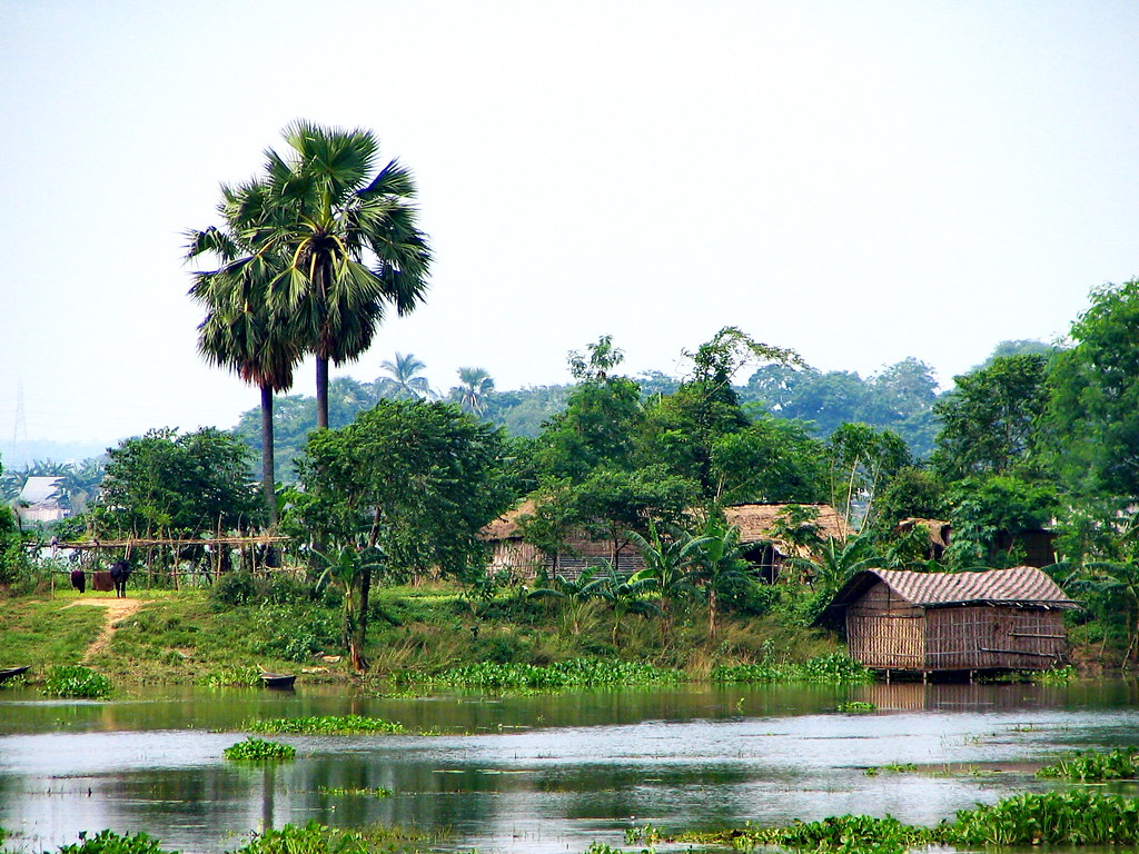 A Bangladeshi village near Uttara