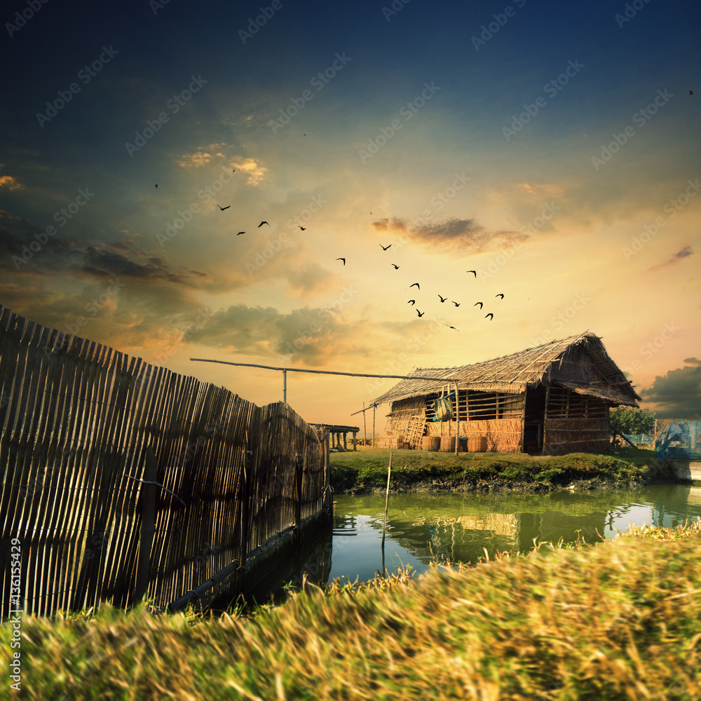 Beautiful huts in the village