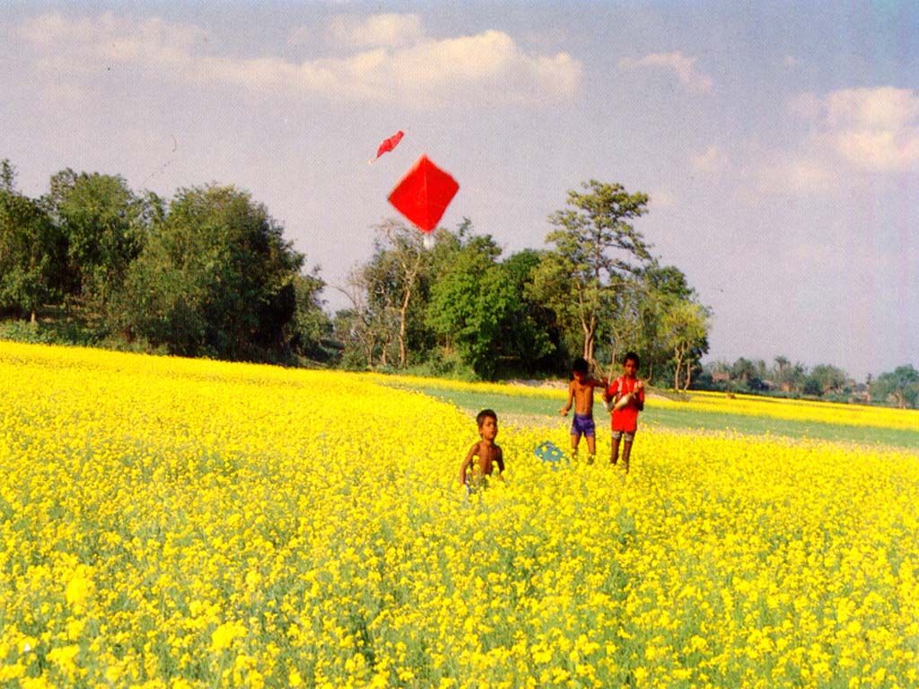 Kite Flying Of Bangladeshi Village Kids