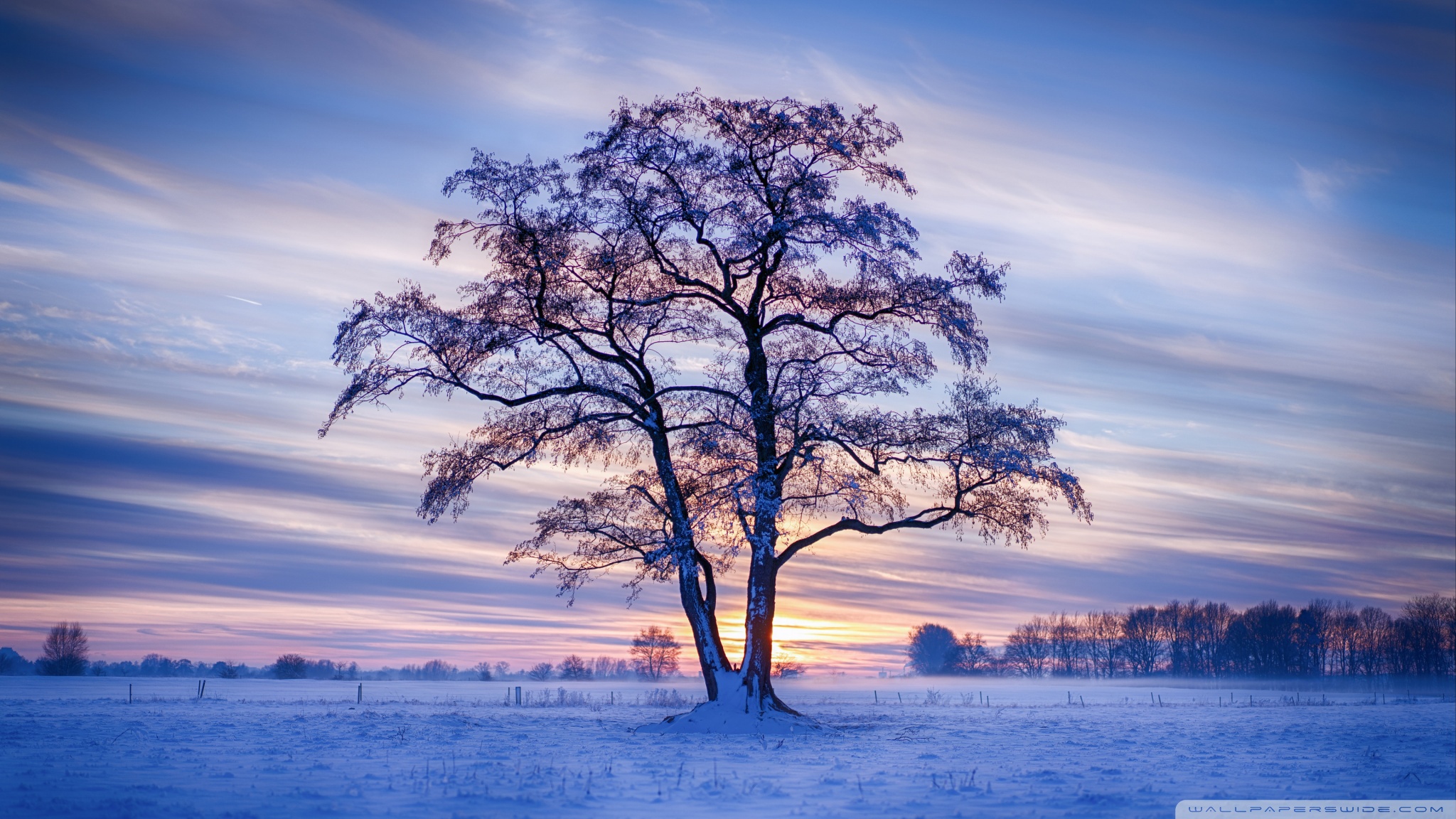 Ultra HD Desktop Background Wallpaper