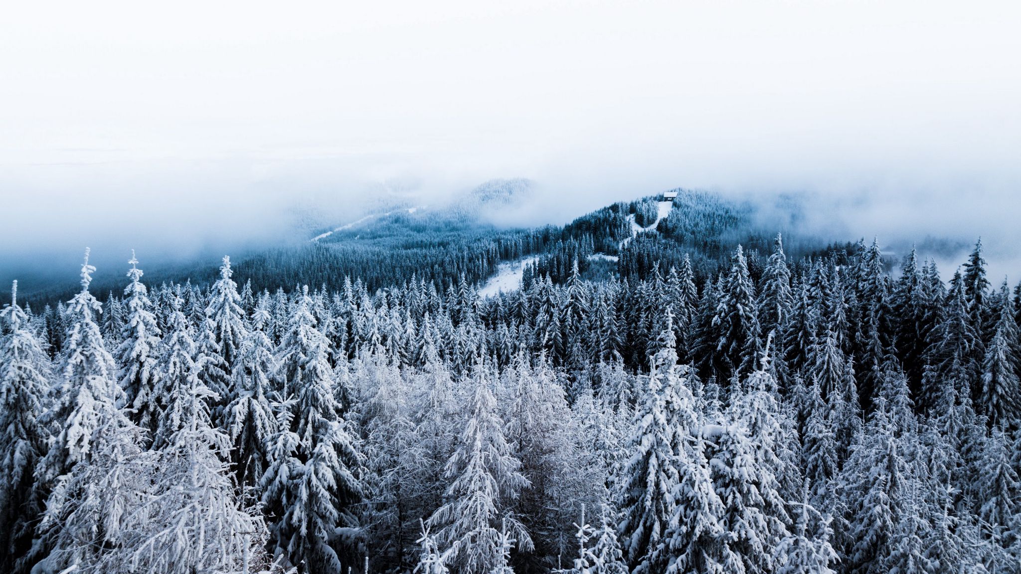 Download wallpaper 2048x1152 winter