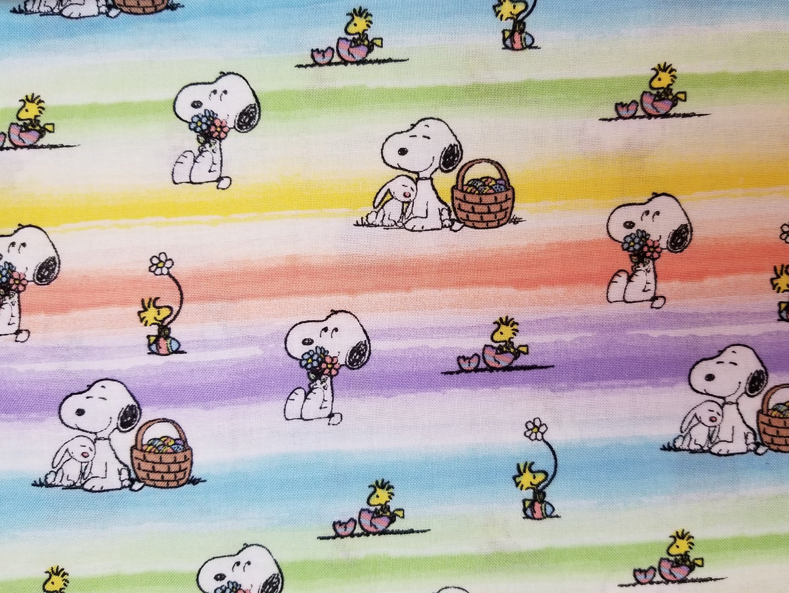 Peanuts Snoopy and Woodstock Easter Sky