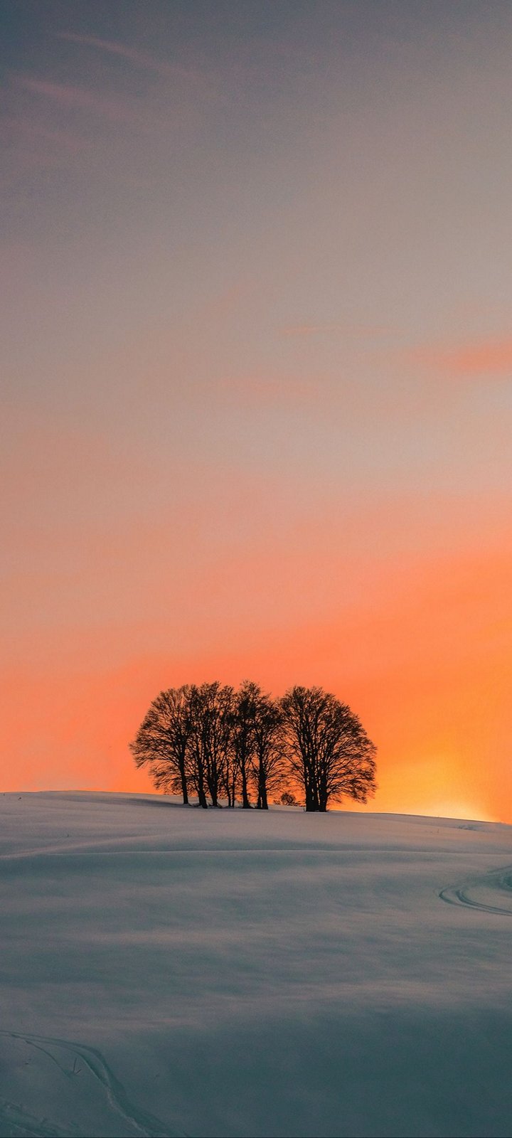 Snow Tree Sky Background Wallpaper
