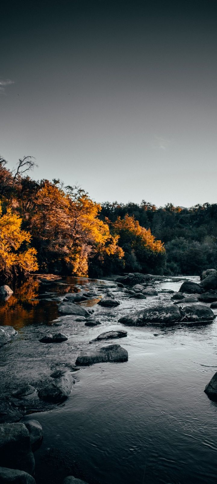 River Stones Trees Wallpaper - [720x1600]