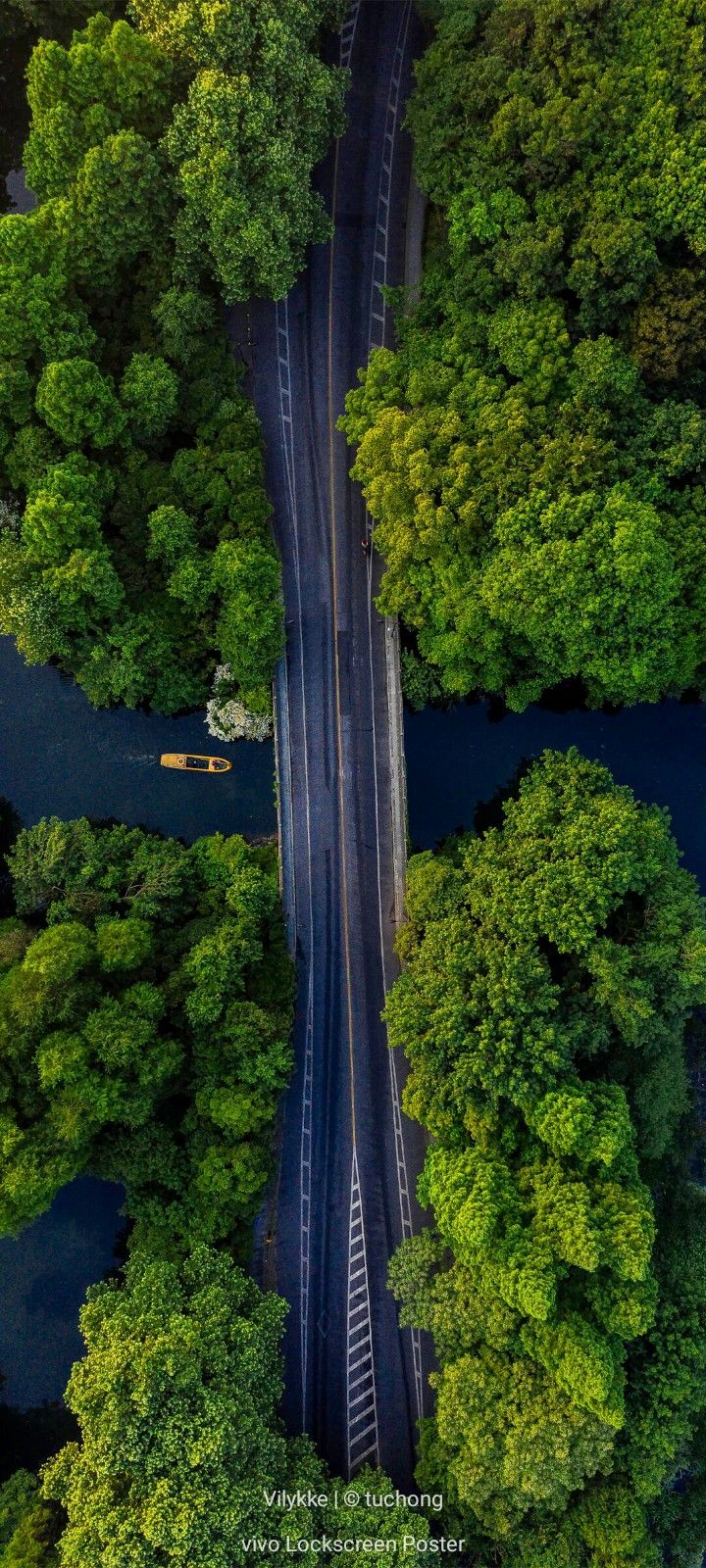 Pin By VK On Arts Wallpaper