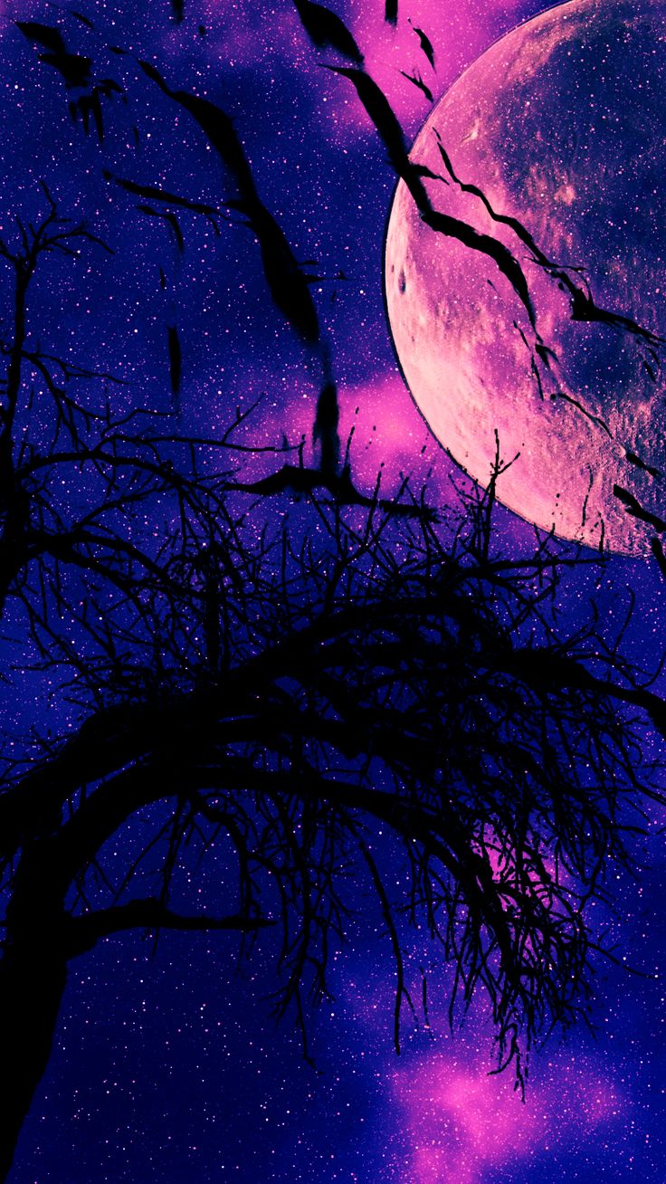 Midnight. Purple galaxy wallpaper