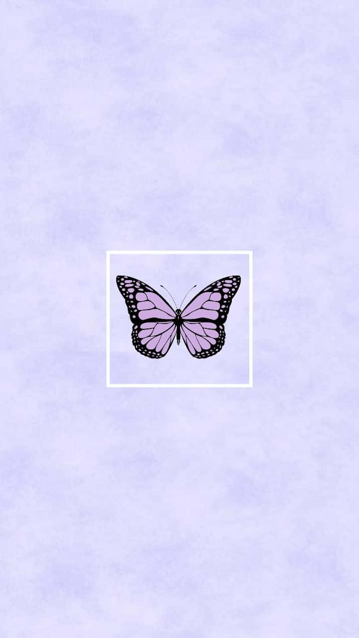 Cute Purple Butterfly Wallpaper