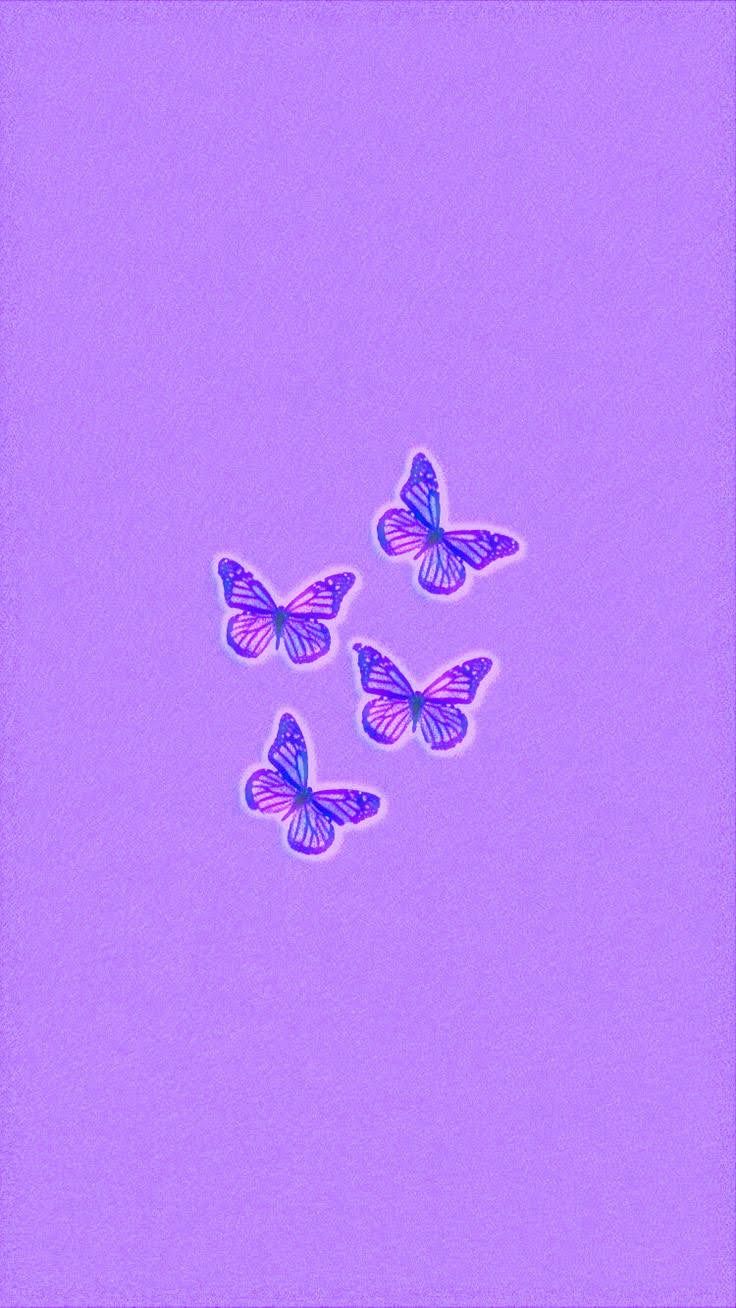 Preppy Purple Butterfly Wallpapers - Wallpaper Cave