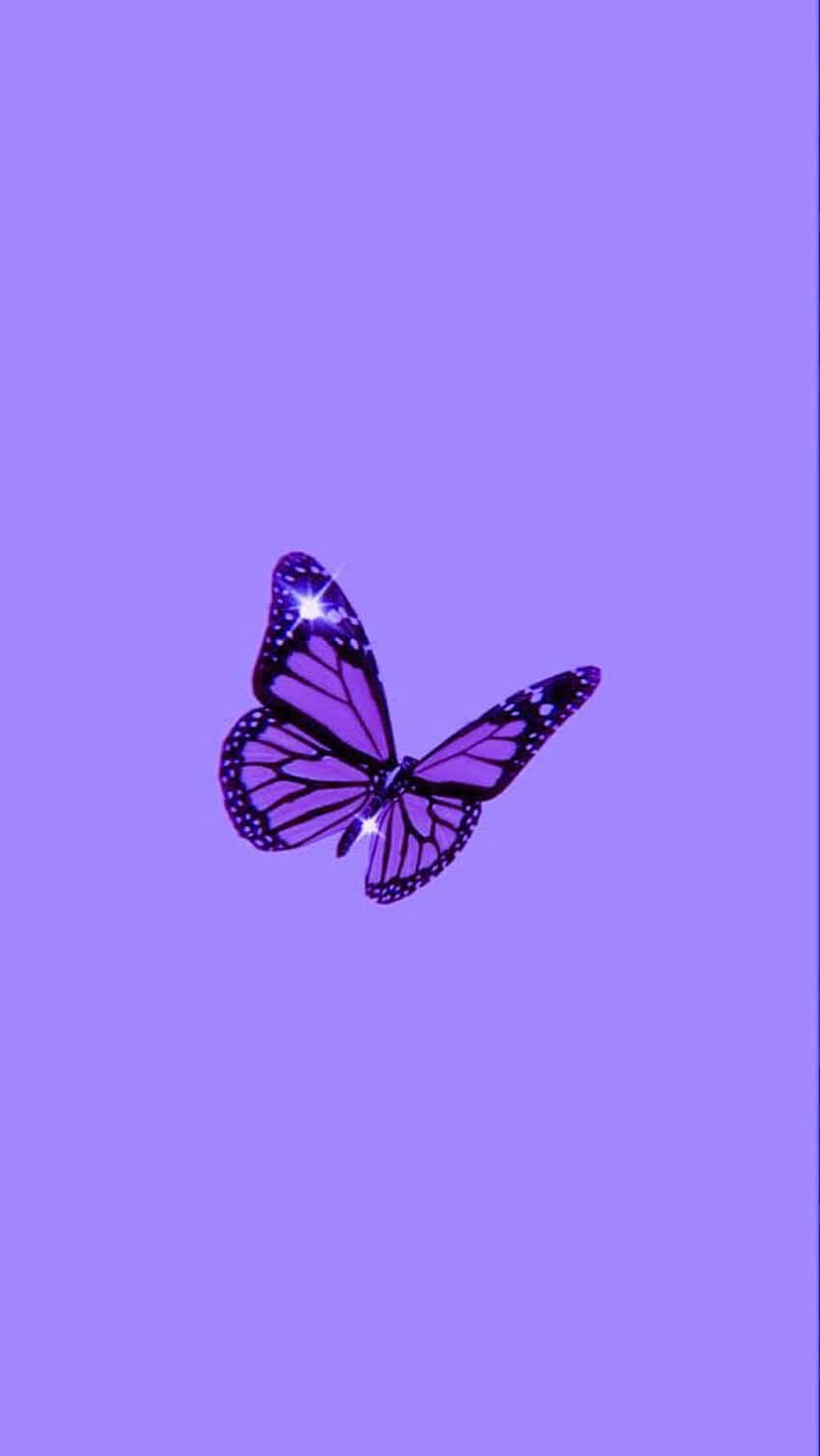 Let this vibrant purple butterfly