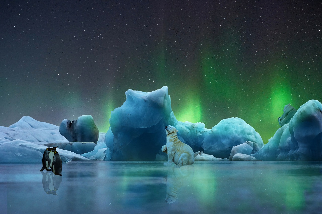 10,Free North Pole & Nature Image