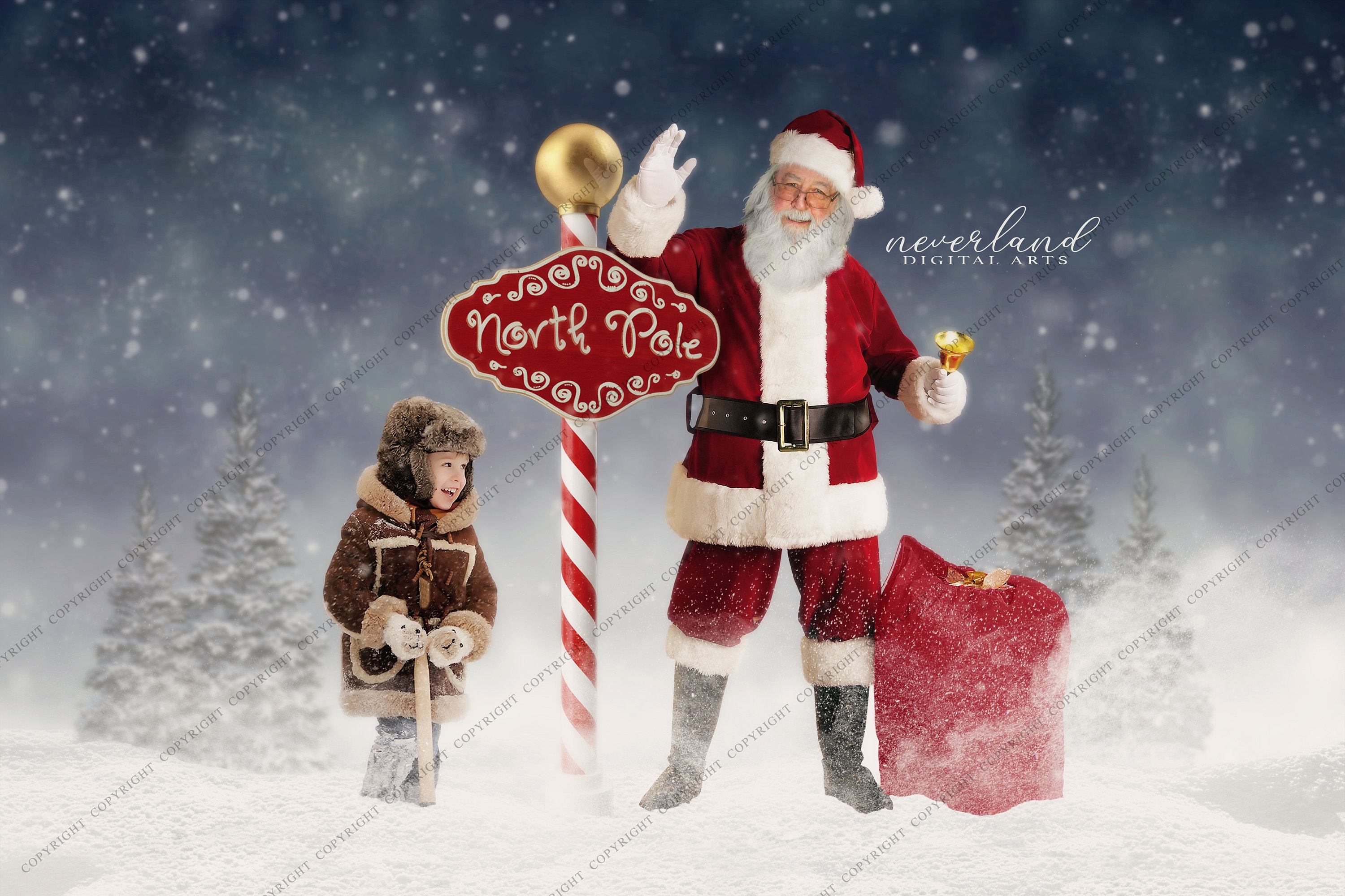 Christmas Composition Backdrop