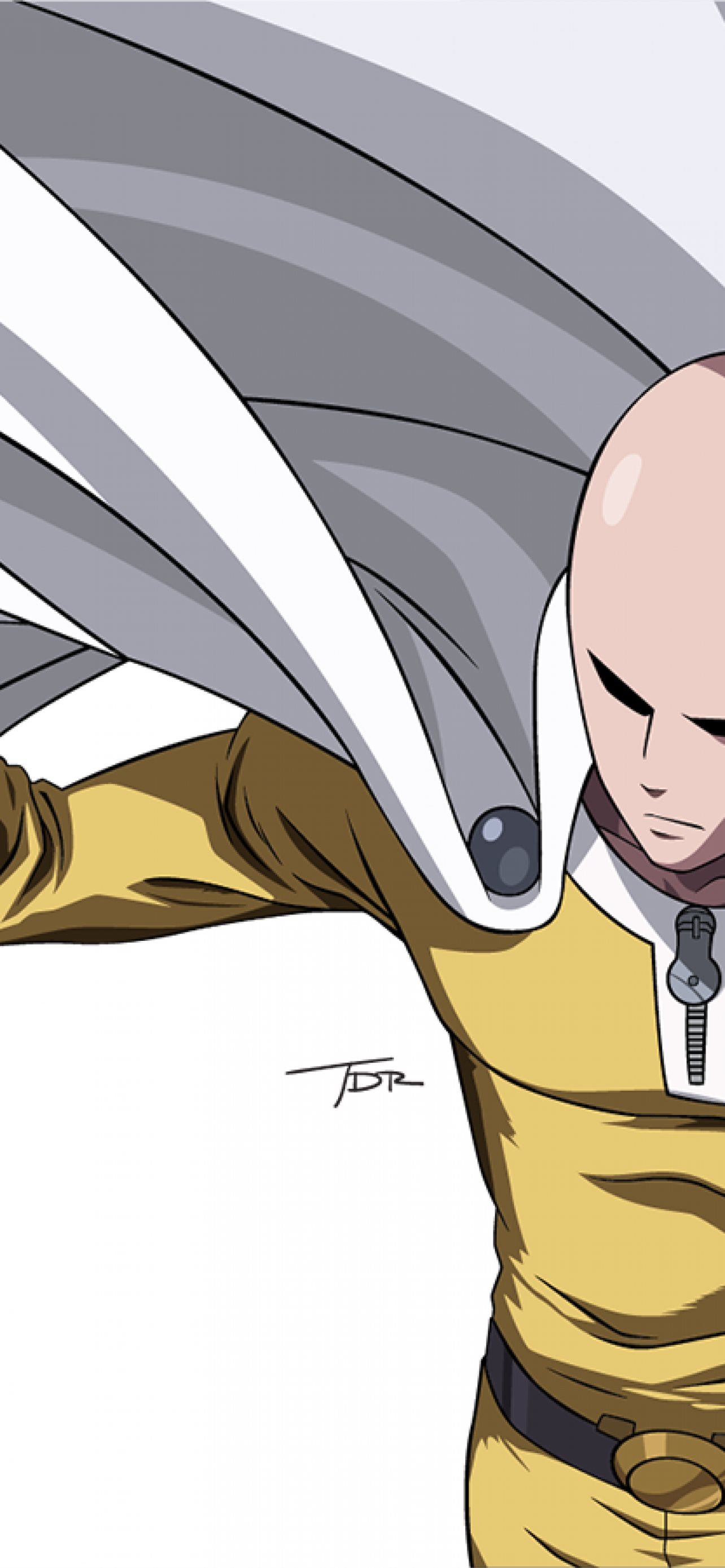 One Punch Man Saitama Cape Bald Hero